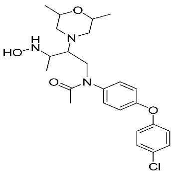Ijms 24 12133 i011 Ijms 24 12133 i011