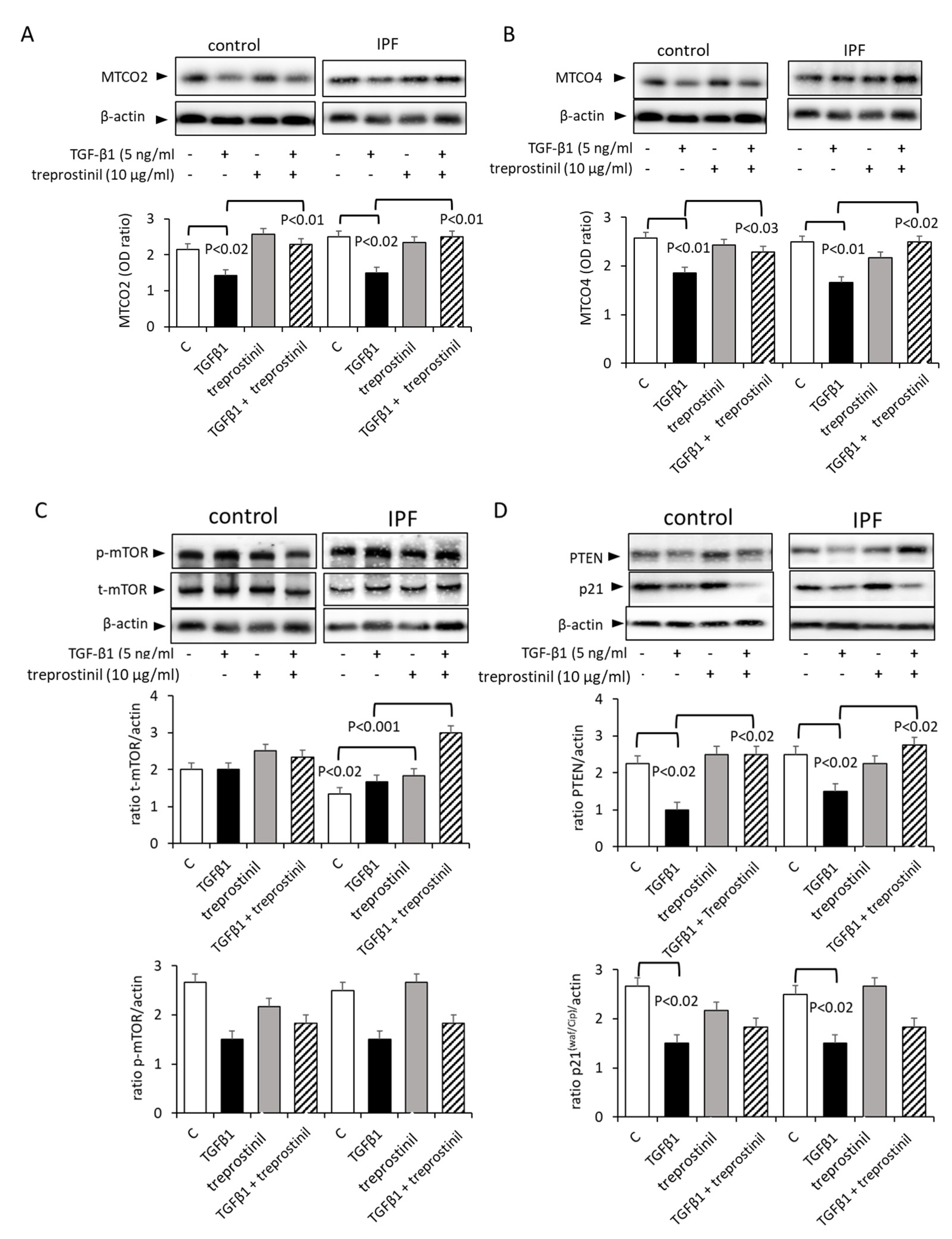 Ijms 24 12148 g002 Ijms 24 12148 g002
