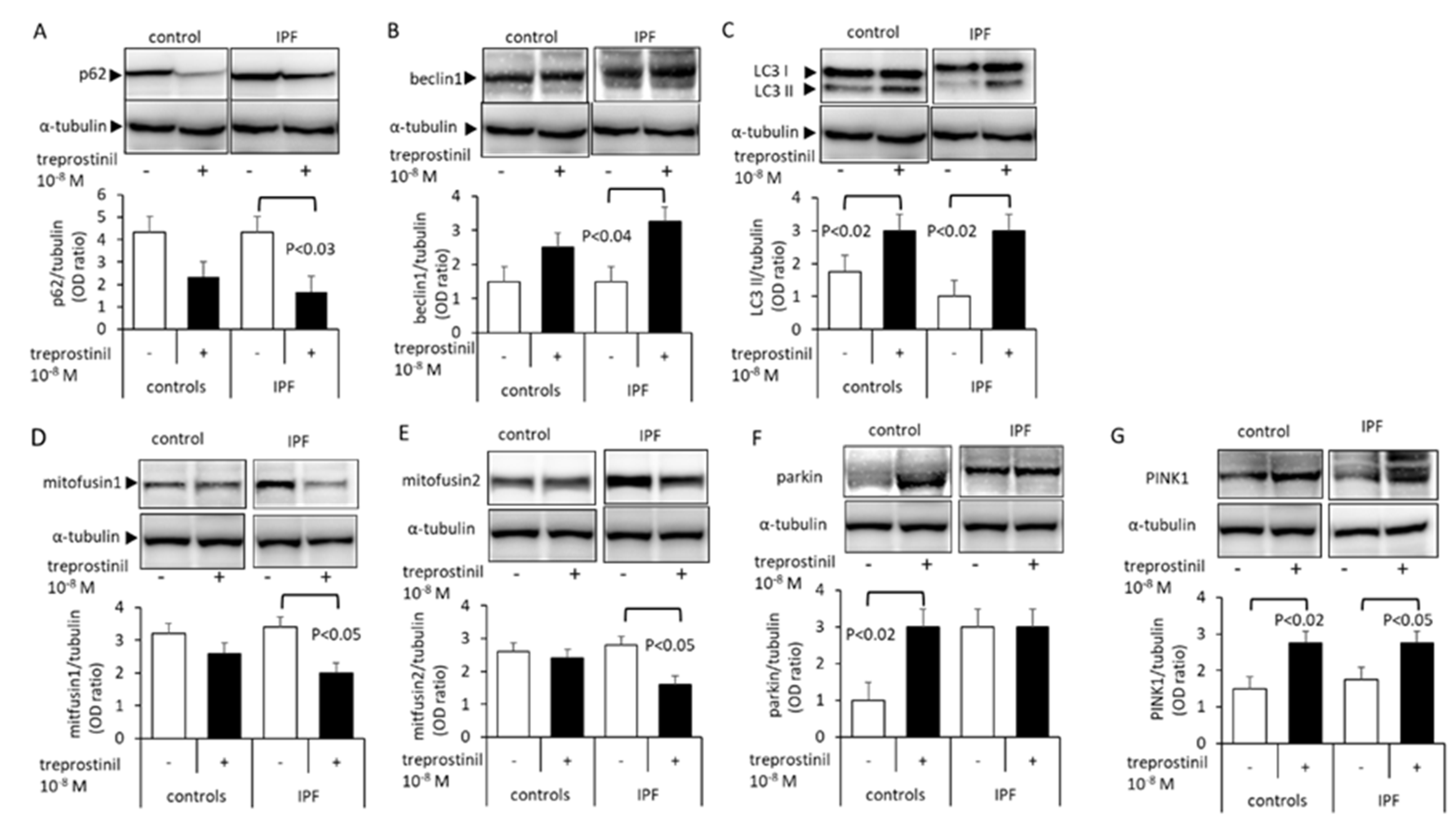 Ijms 24 12148 g003 Ijms 24 12148 g003