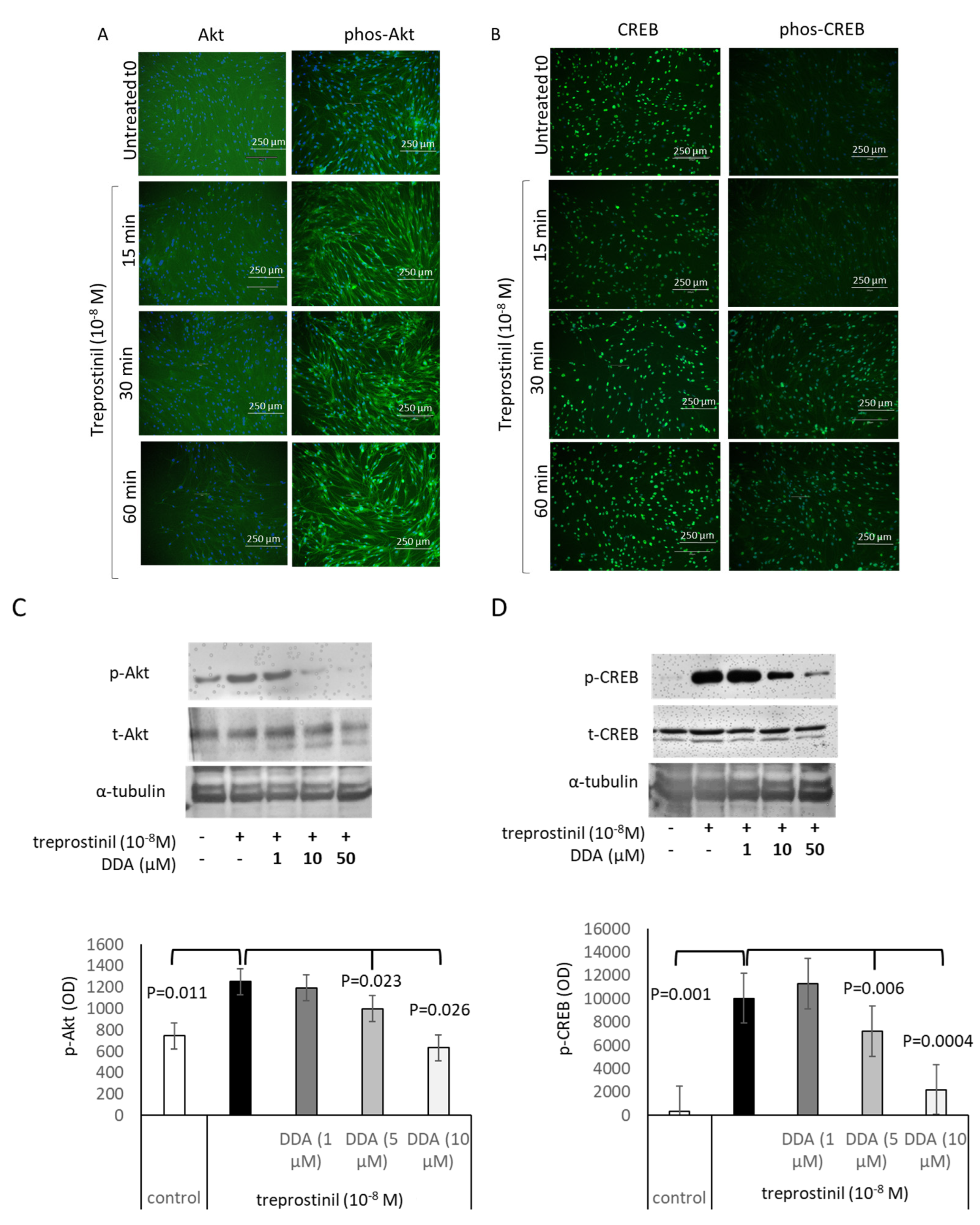 Ijms 24 12148 g004 Ijms 24 12148 g004