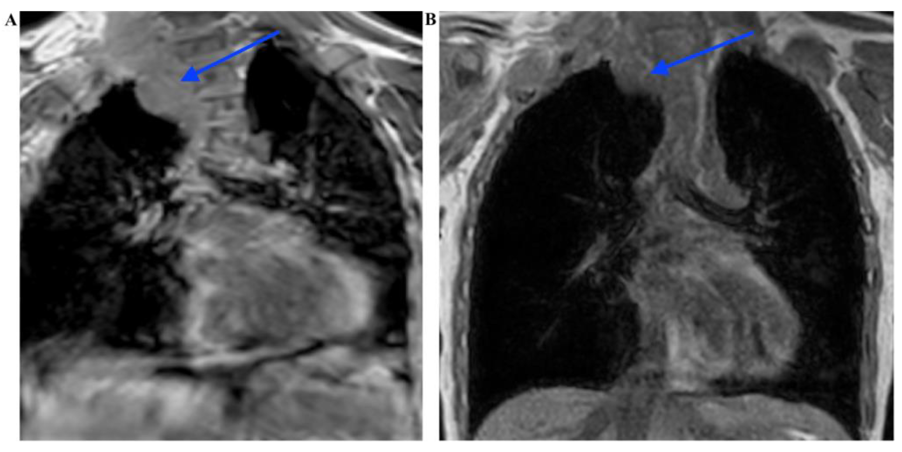 Ijms 24 12154 g006 Ijms 24 12154 g006