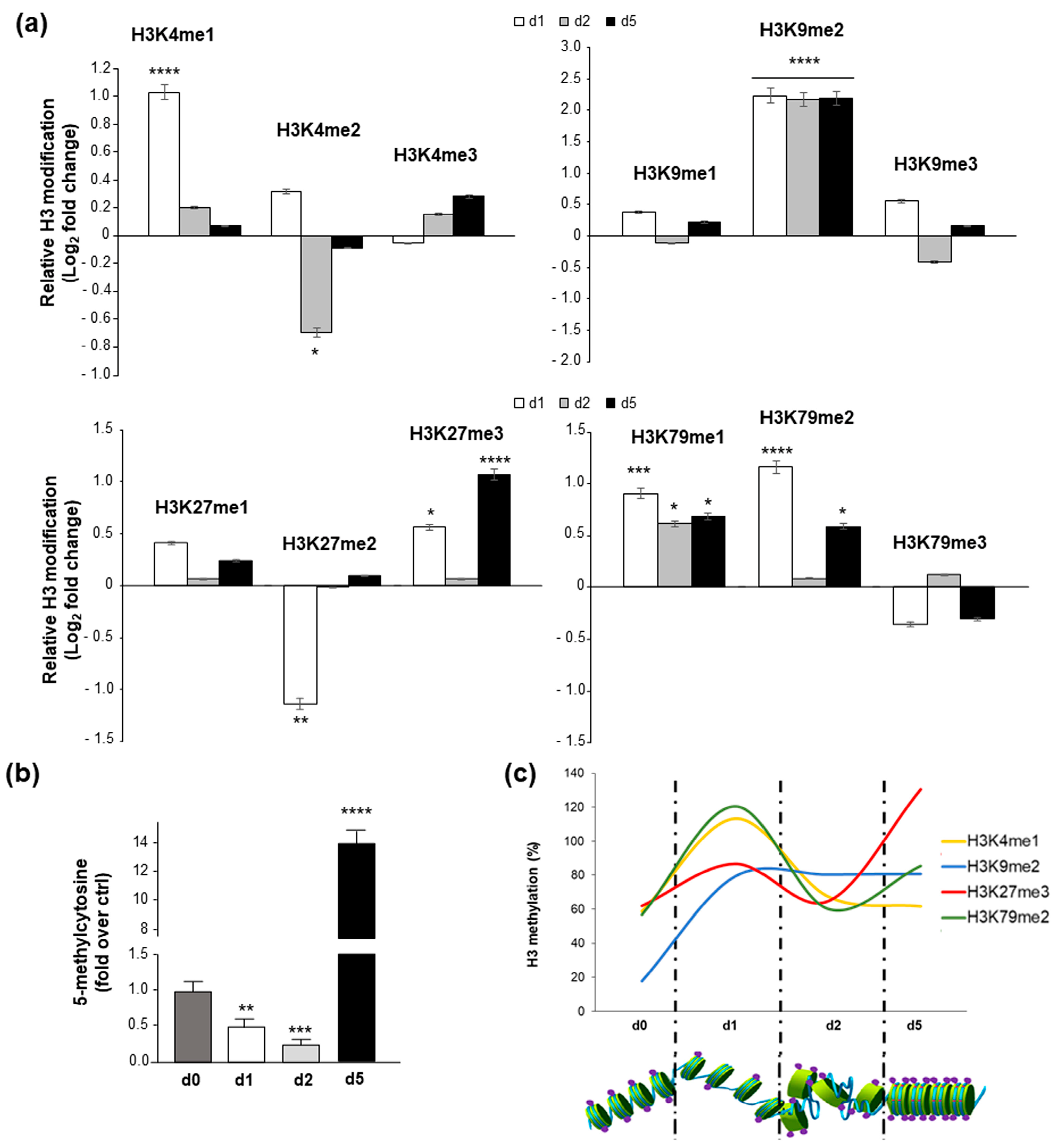 Ijms 24 12158 g001 Ijms 24 12158 g001