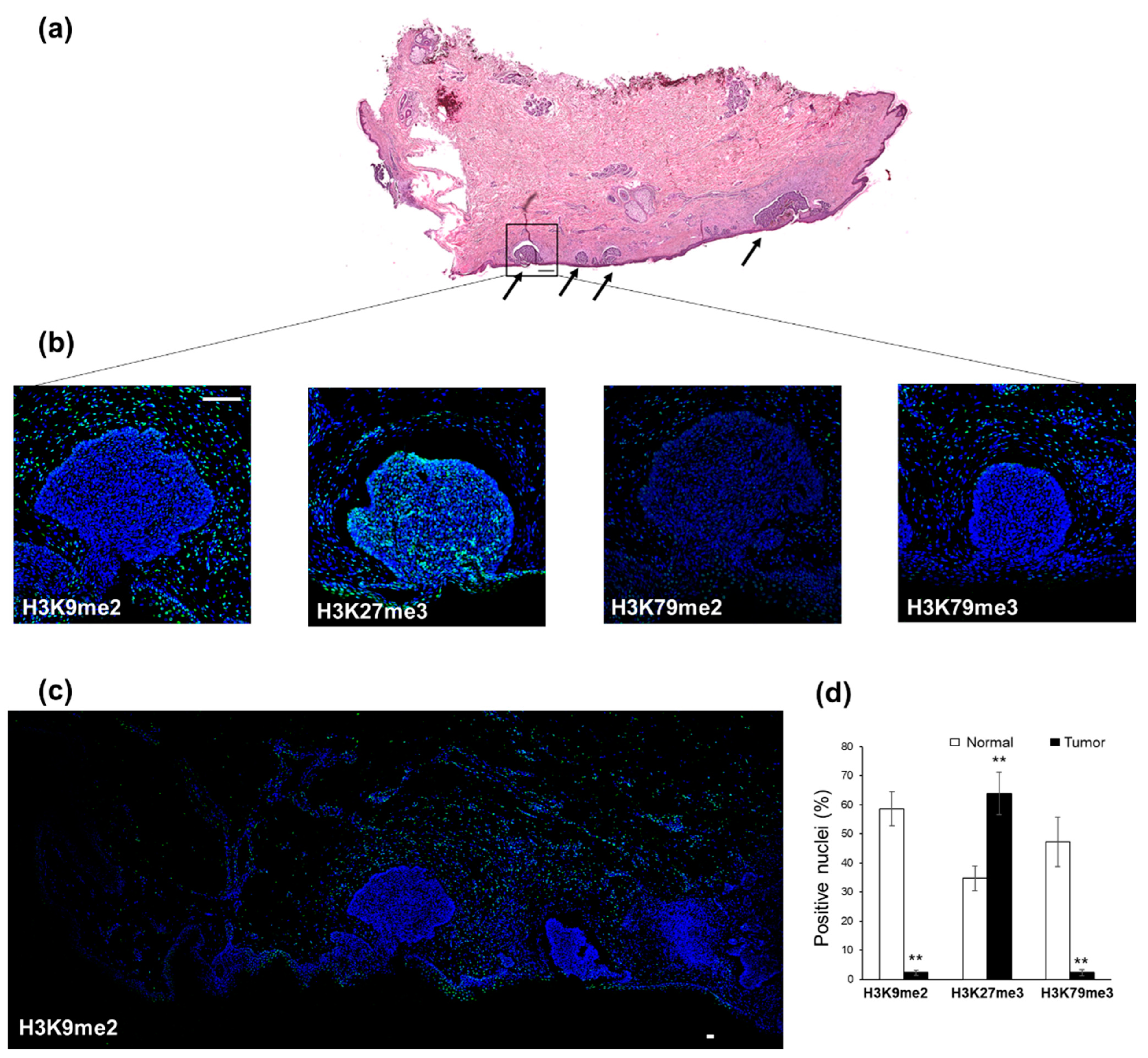 Ijms 24 12158 g002 Ijms 24 12158 g002
