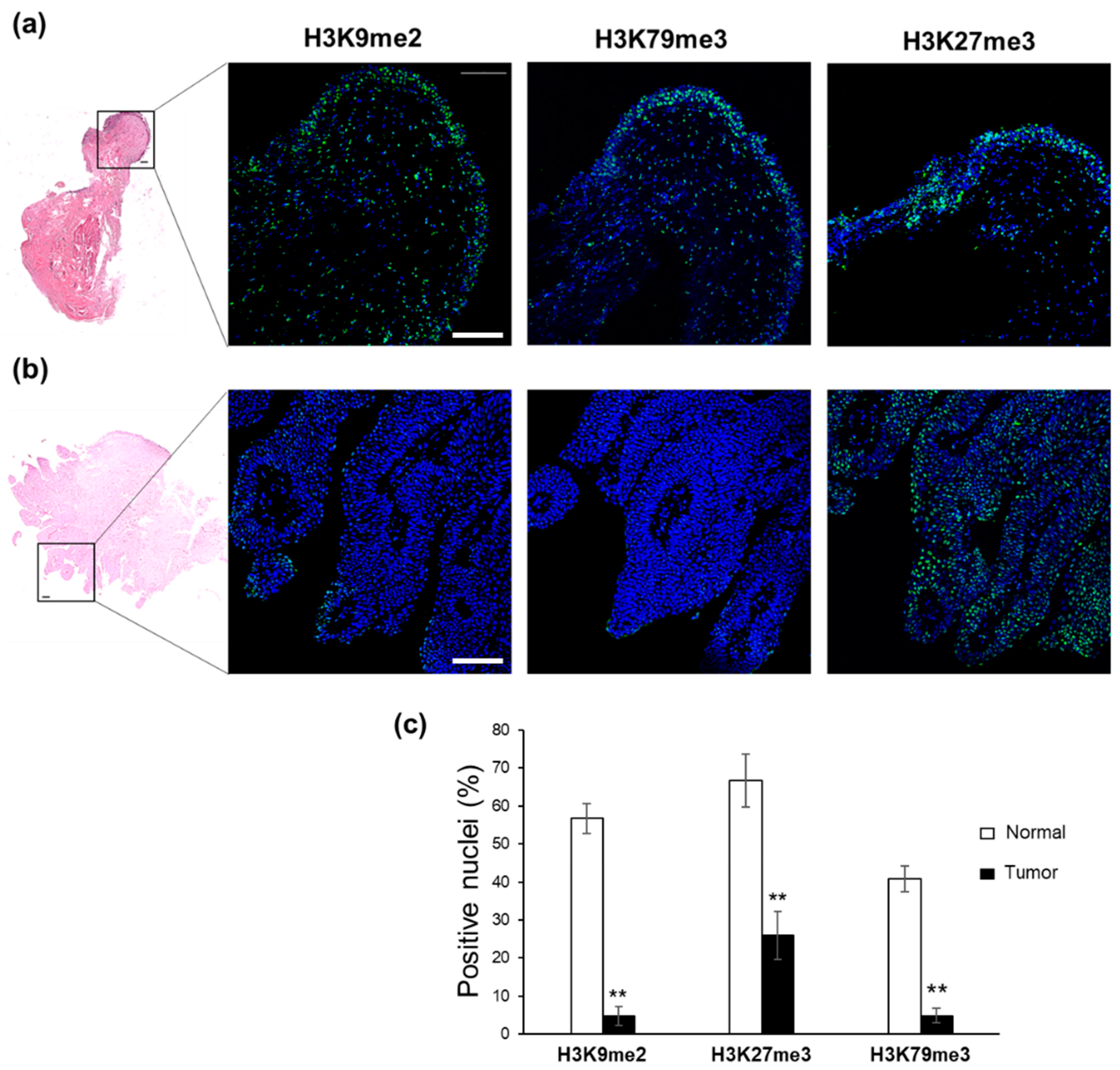 Ijms 24 12158 g004 Ijms 24 12158 g004