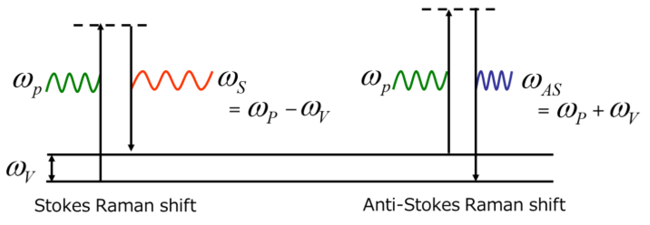 Ijms 24 12170 g001 Ijms 24 12170 g001