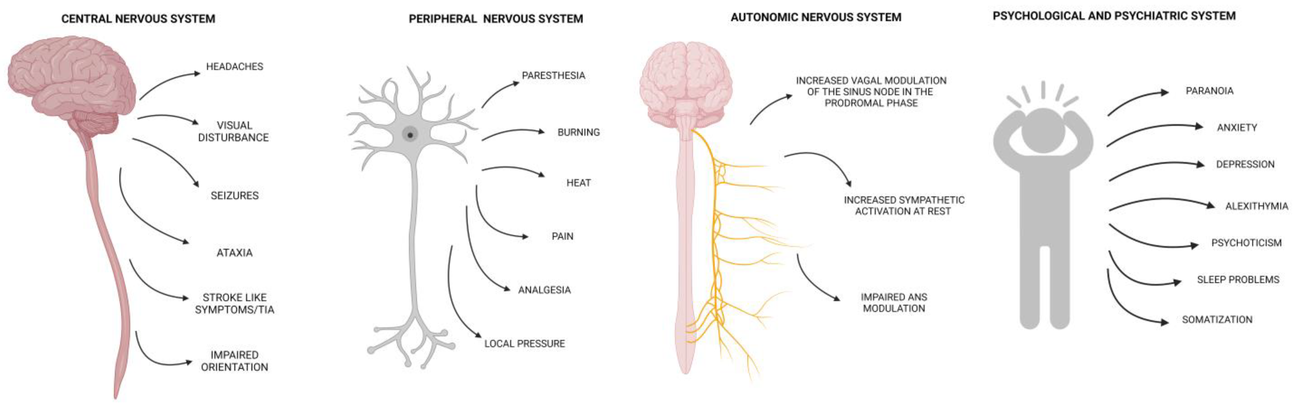 Ijms 24 12184 g001 Ijms 24 12184 g001