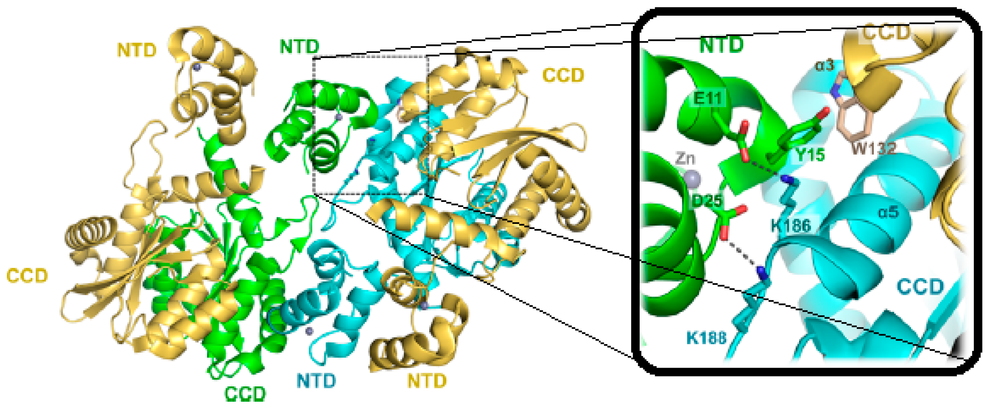 Ijms 24 12187 g003 Ijms 24 12187 g003