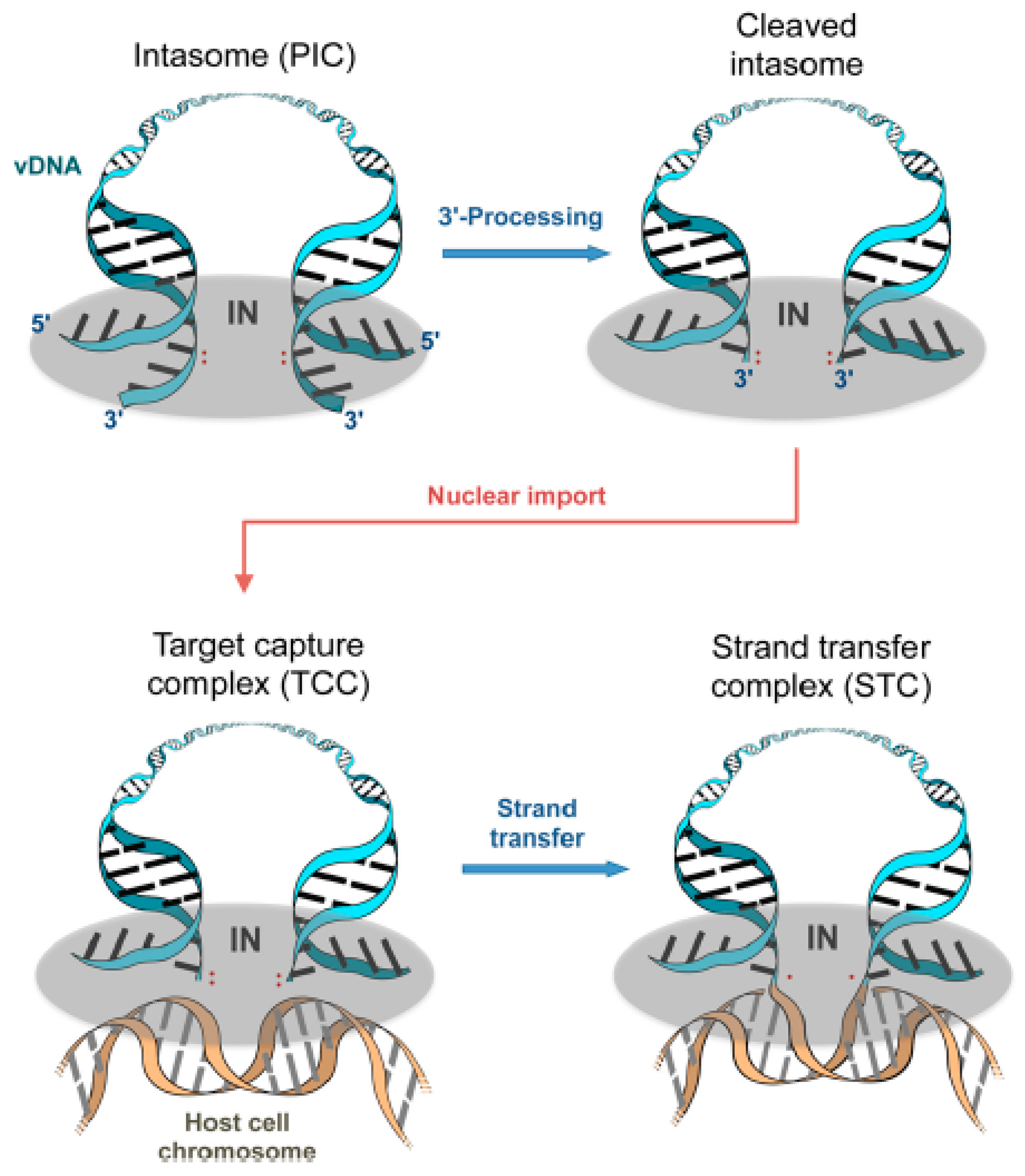 Ijms 24 12187 g004 Ijms 24 12187 g004