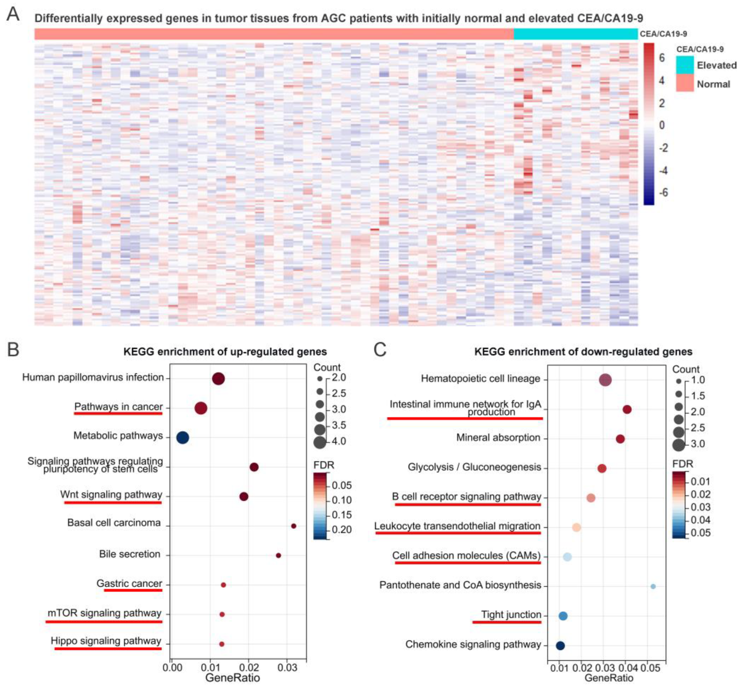 Ijms 24 12192 g005 Ijms 24 12192 g005