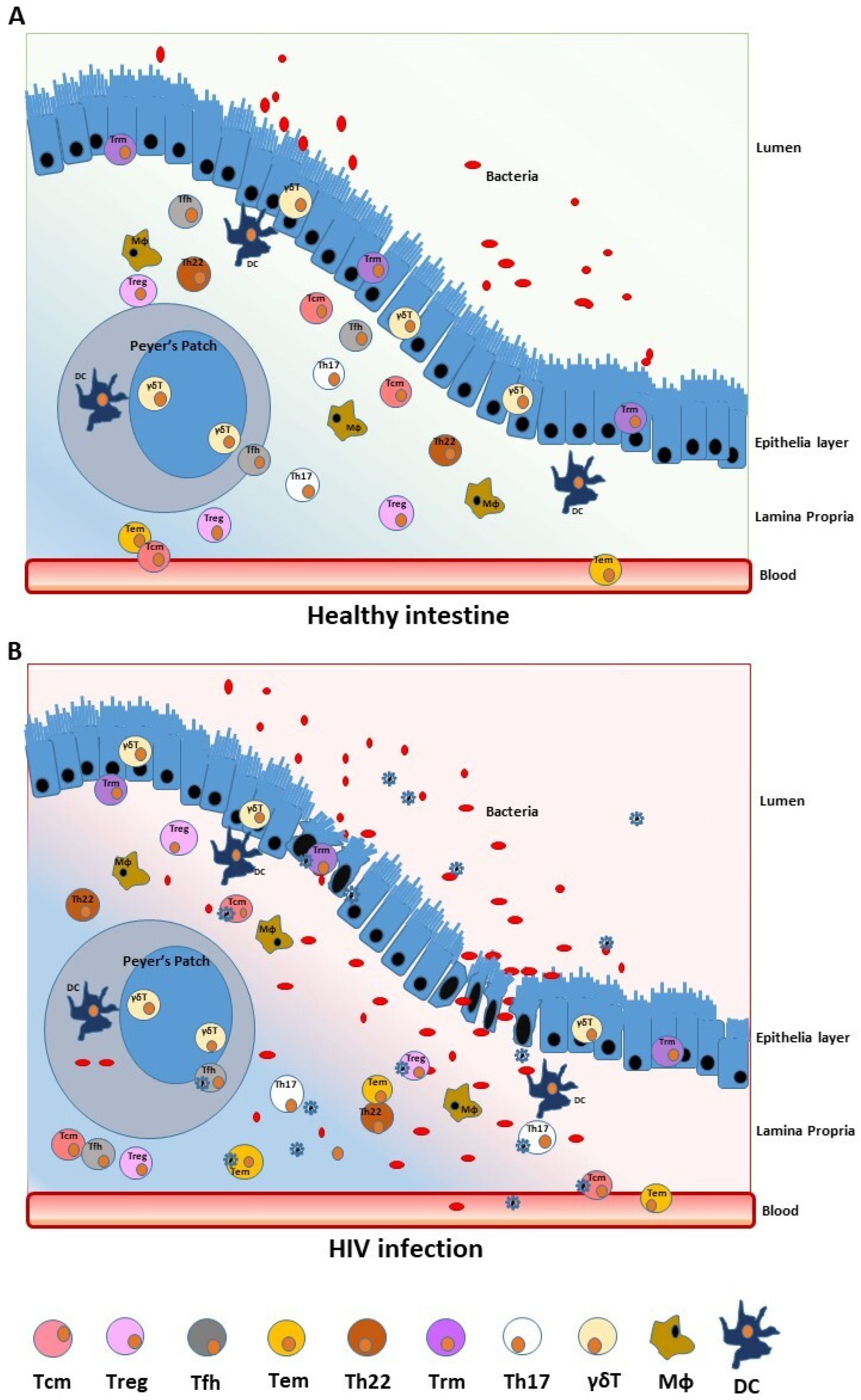 Ijms 24 12193 g001 Ijms 24 12193 g001