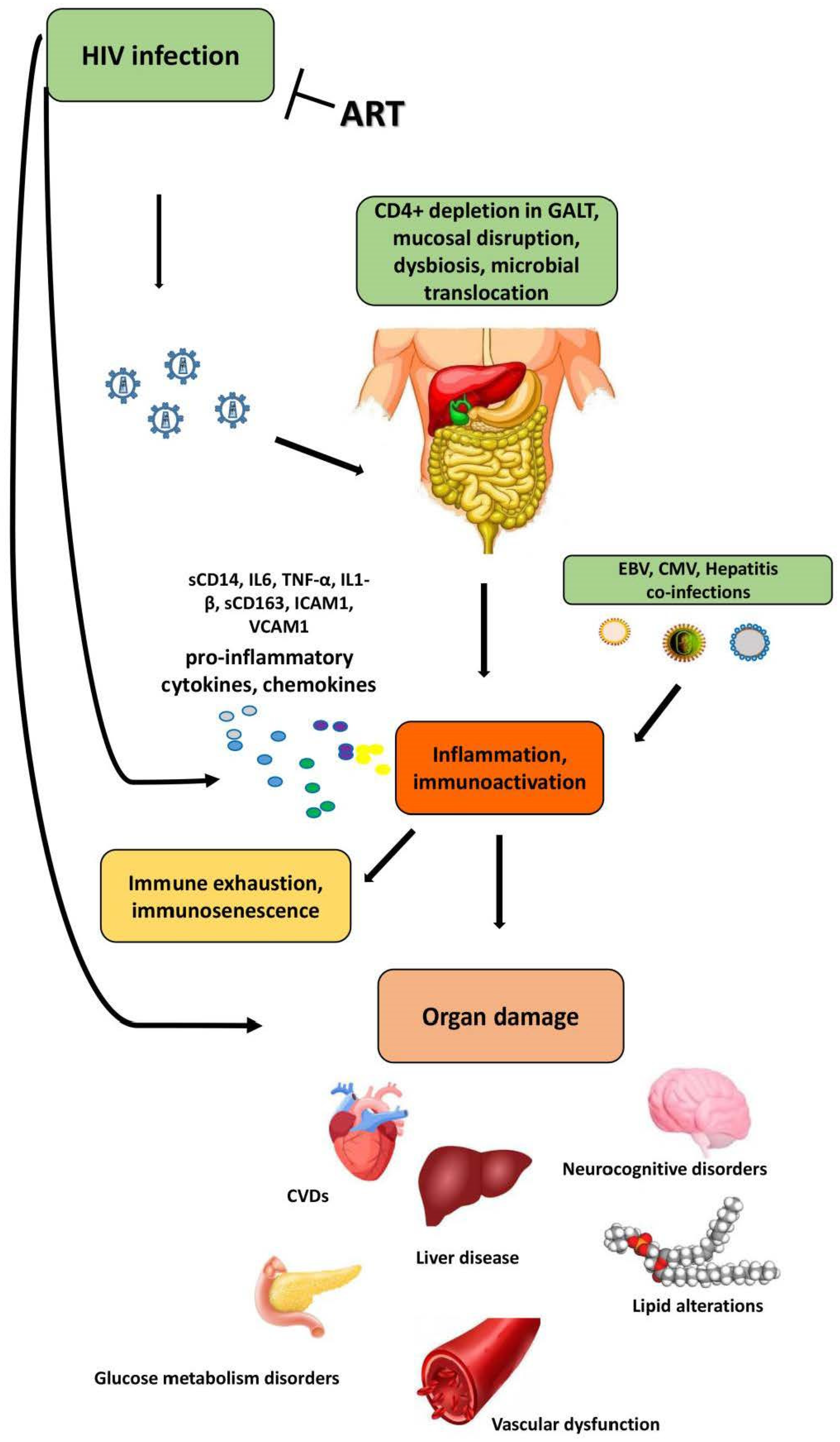 Ijms 24 12193 g002 Ijms 24 12193 g002