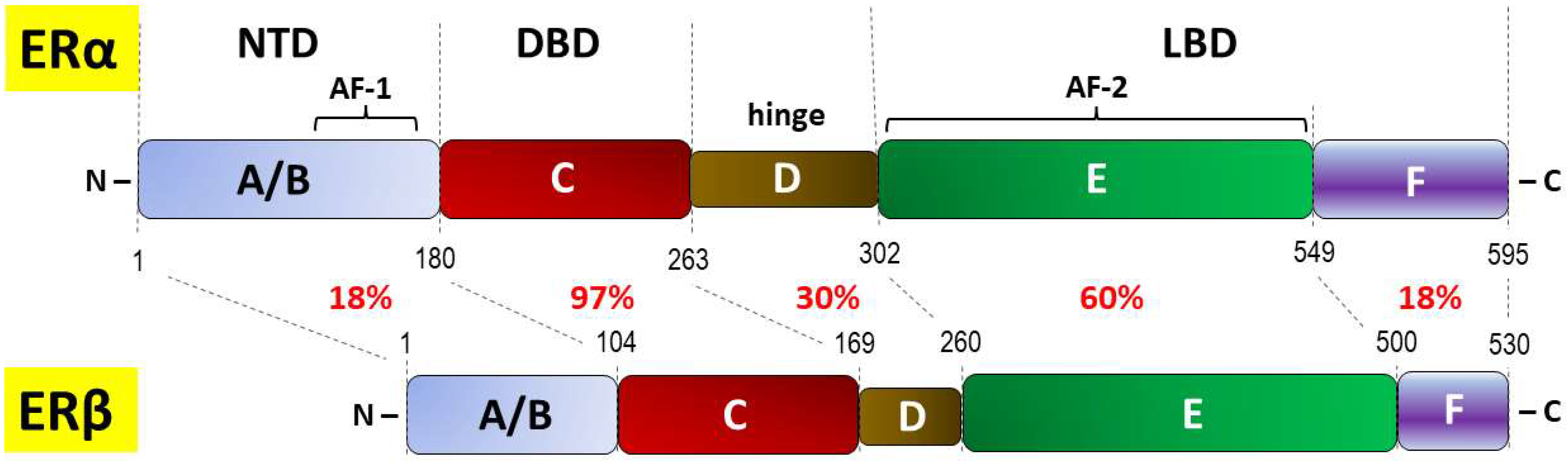 IJMS Free Full-Text Insight into the Potential Mechanisms of Endocrine Disruption by Dietary Phytoestrogens in the Context of the Etiopathogenesis of Endometriosis photo