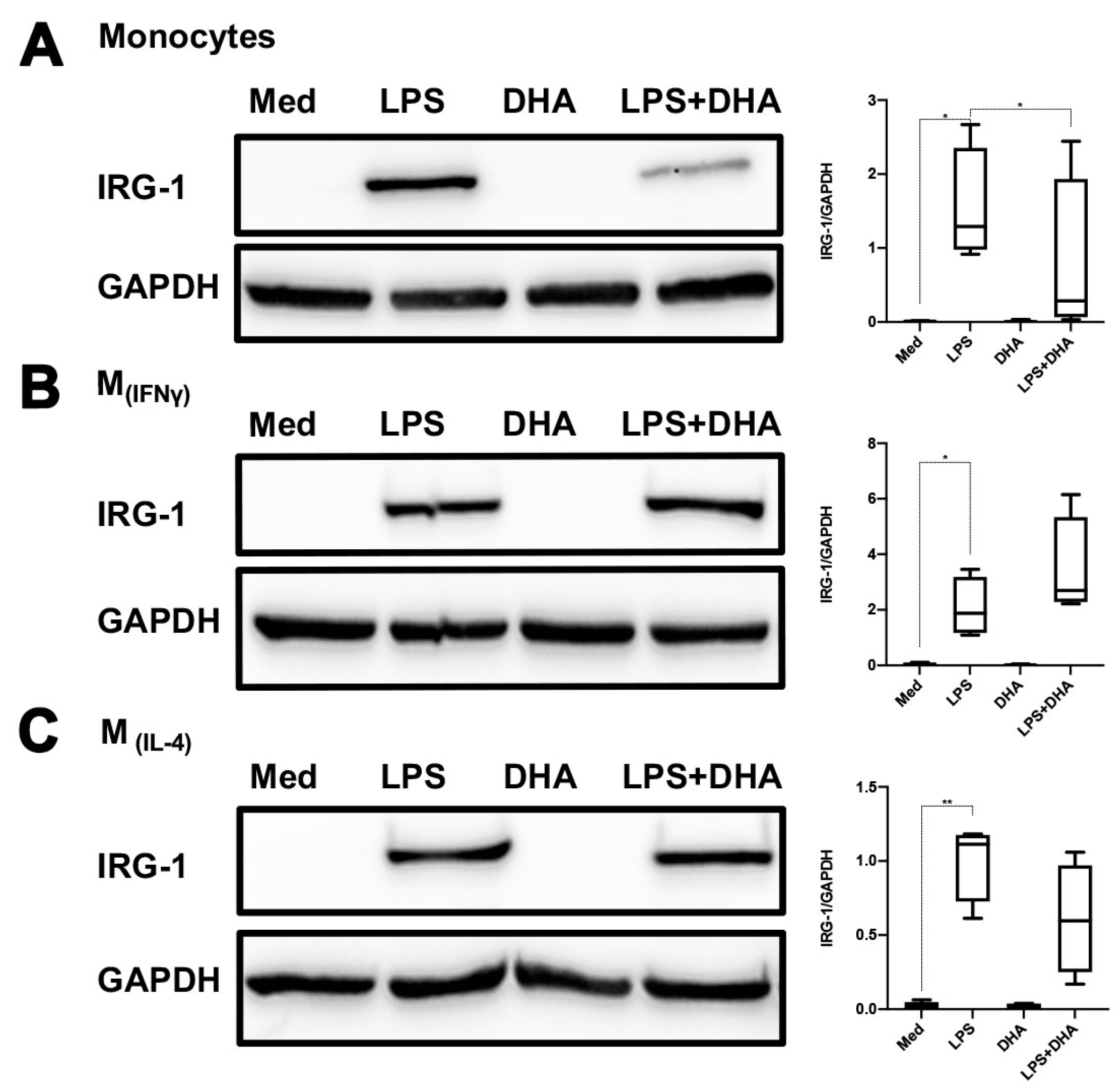 Ijms 24 12196 g005a Ijms 24 12196 g005a