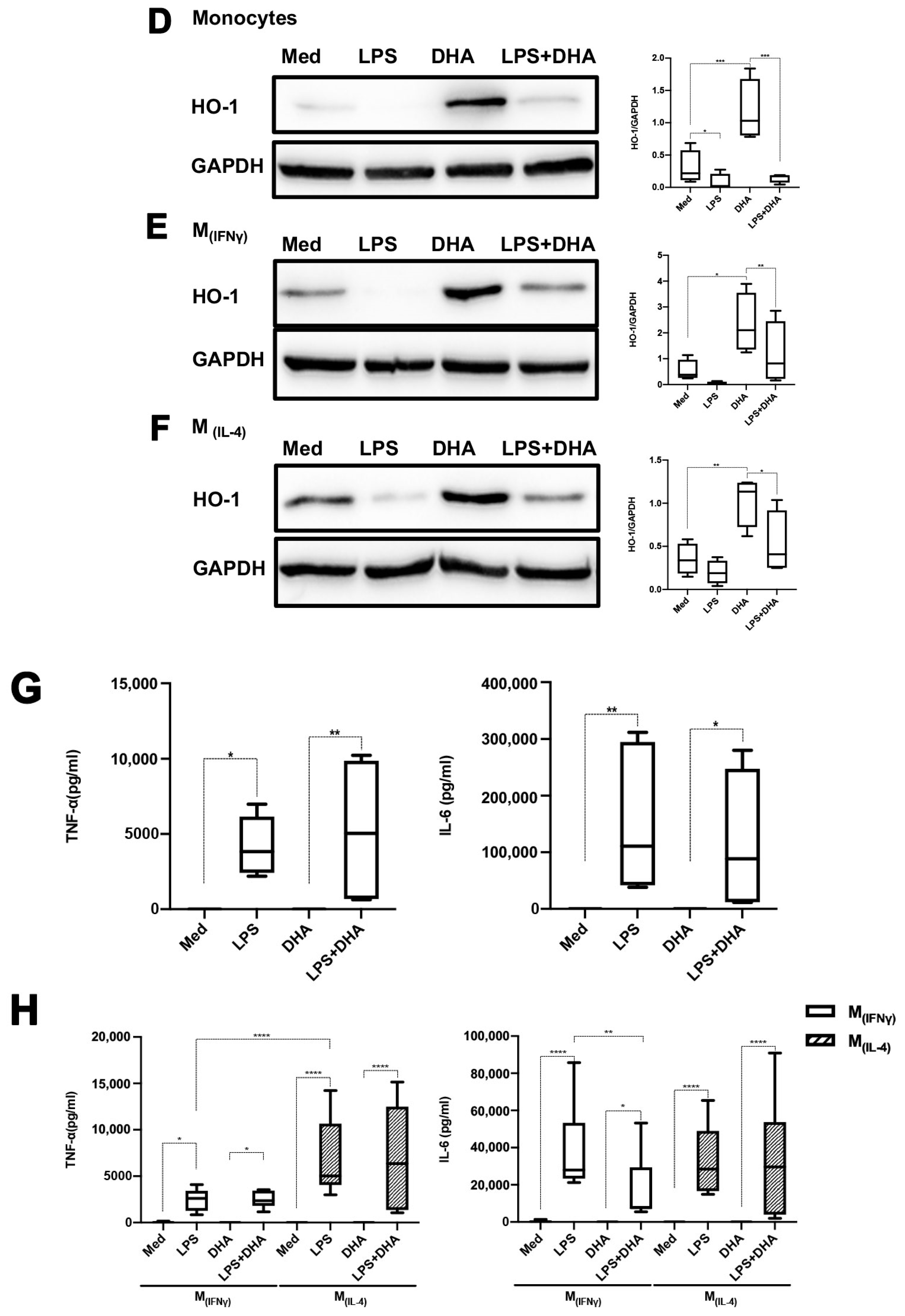 Ijms 24 12196 g005b Ijms 24 12196 g005b