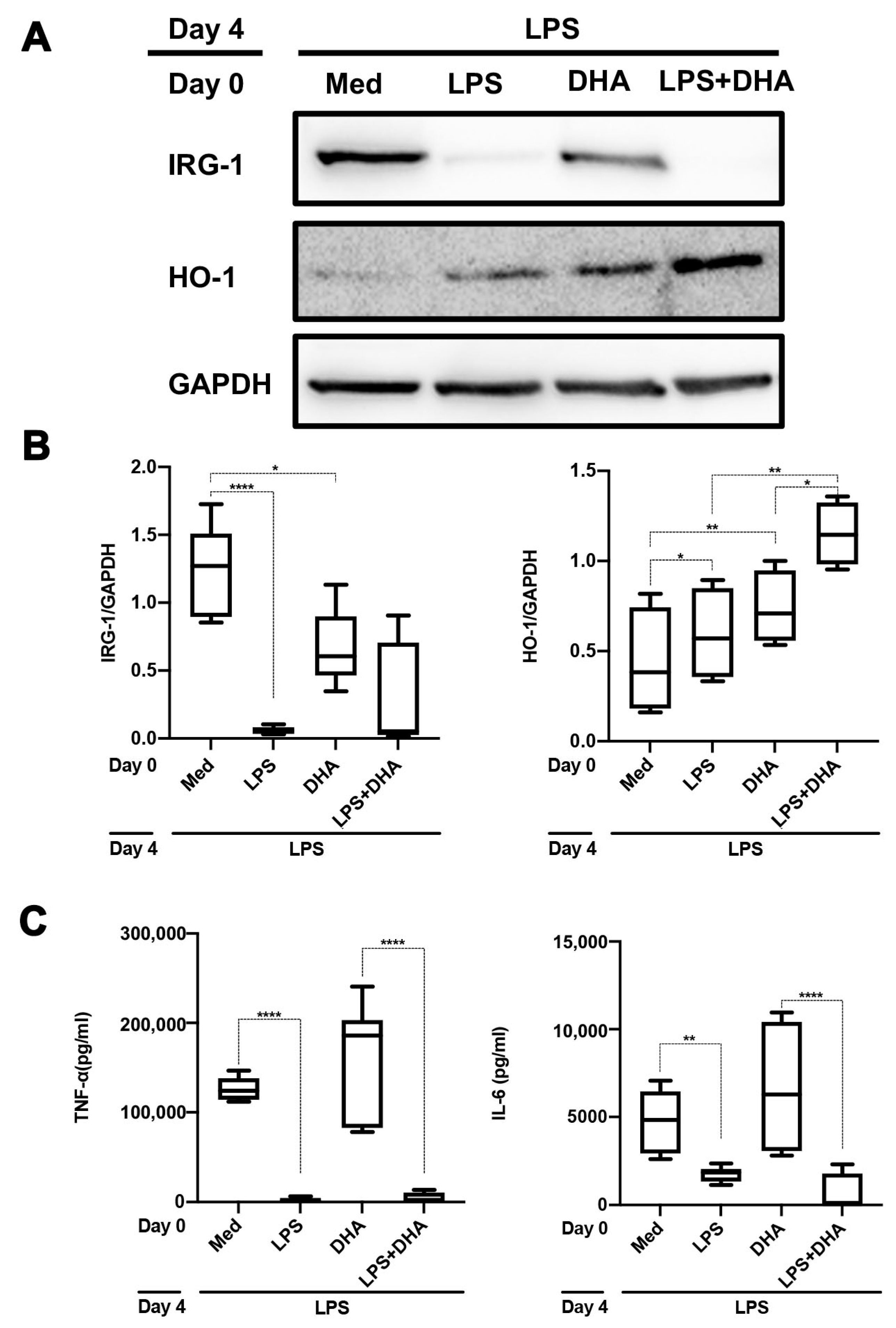 Ijms 24 12196 g006a Ijms 24 12196 g006a