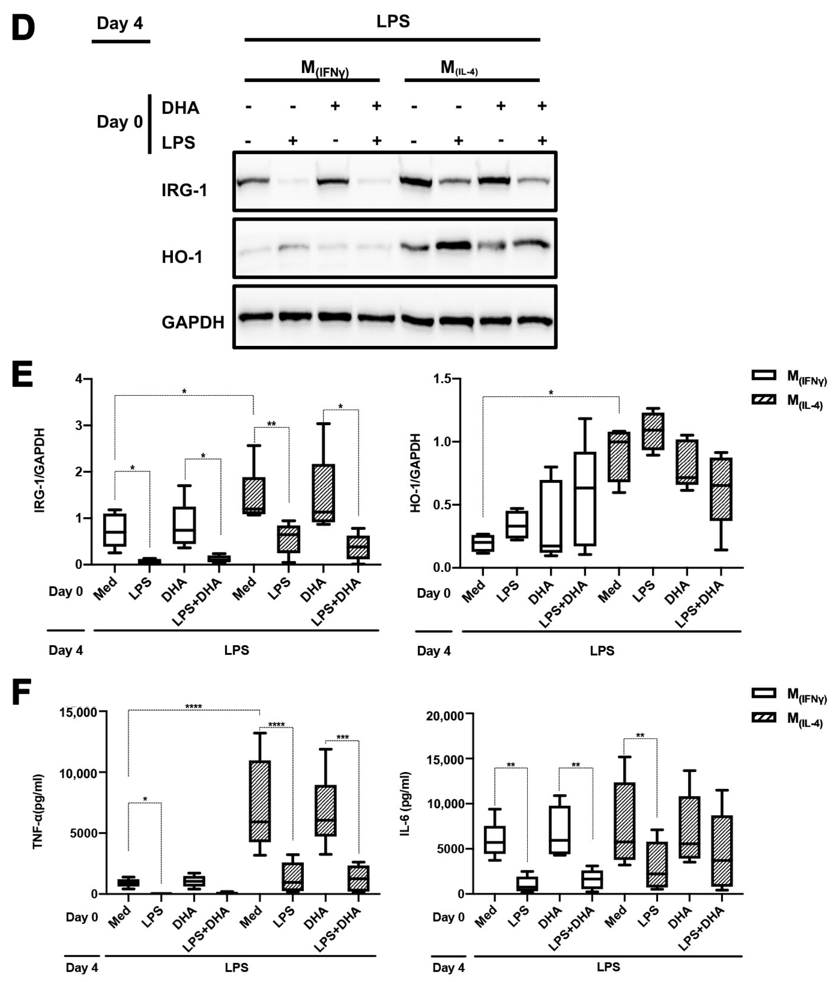 Ijms 24 12196 g006b Ijms 24 12196 g006b