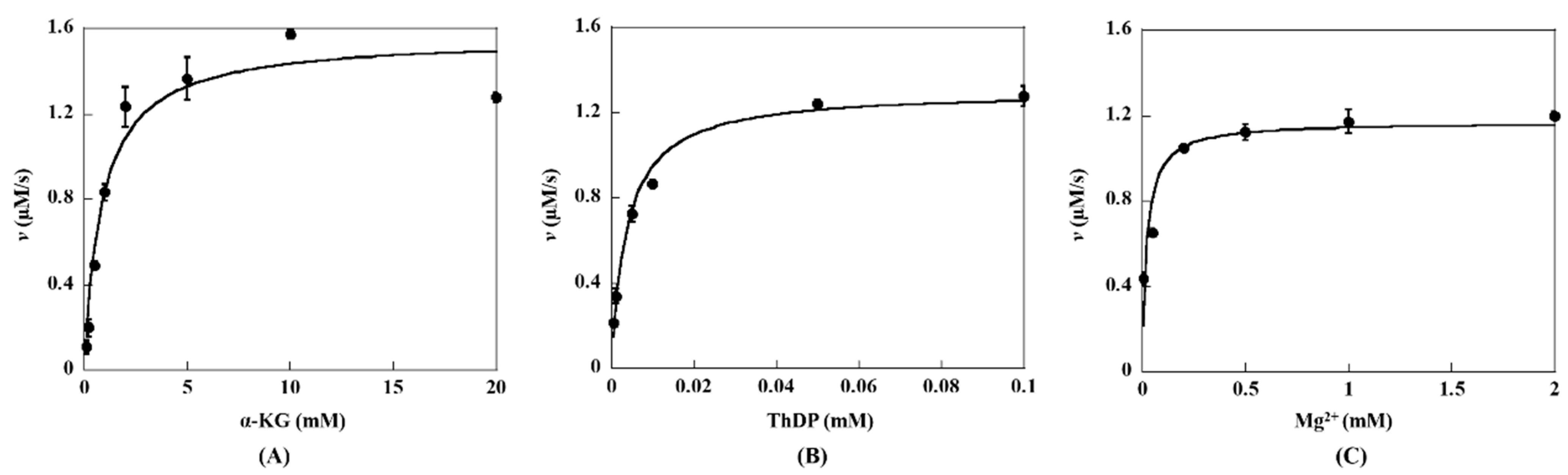 Ijms 24 12198 g004 Ijms 24 12198 g004