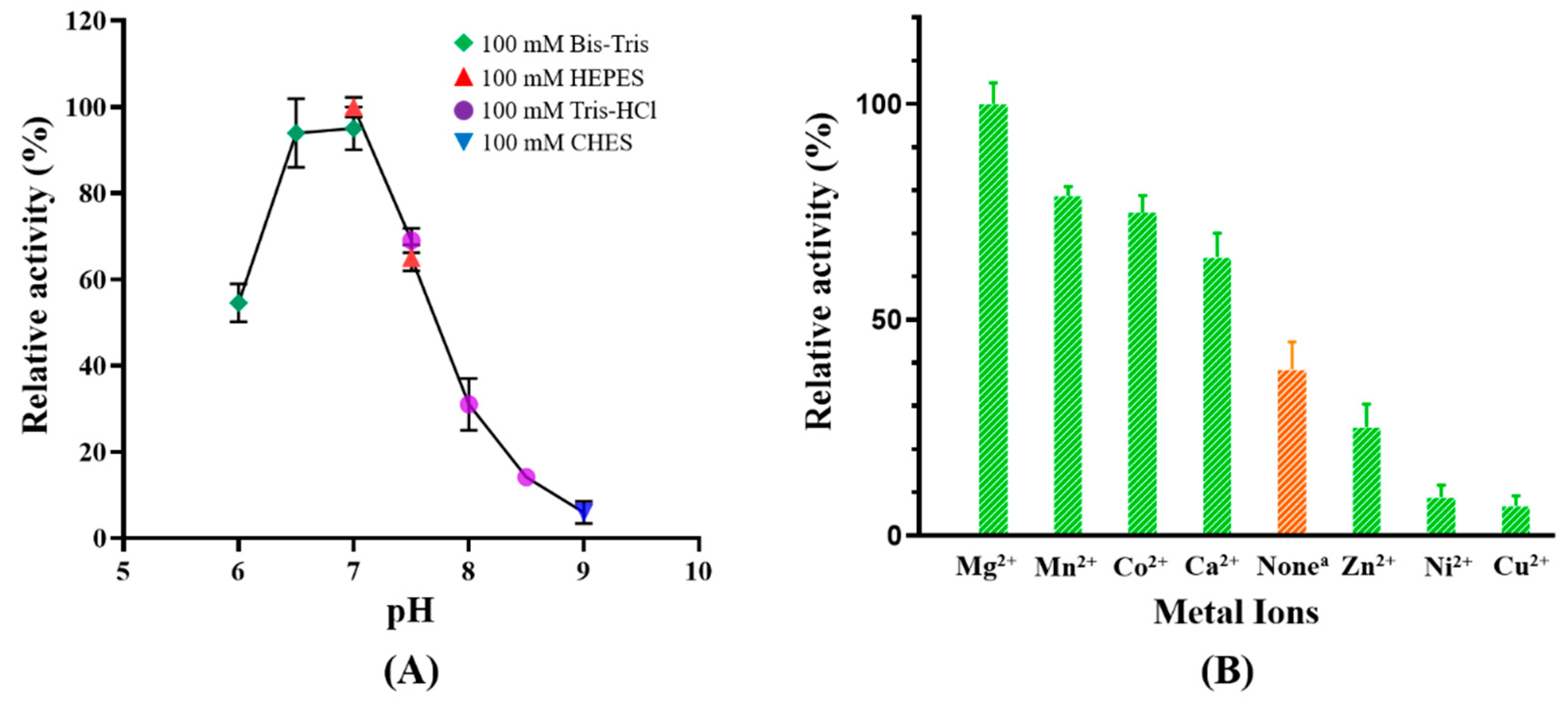 Ijms 24 12198 g005 Ijms 24 12198 g005