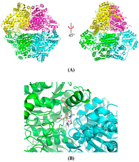aminaseページ Enantioselective, intermolecular benzylic C–H amination