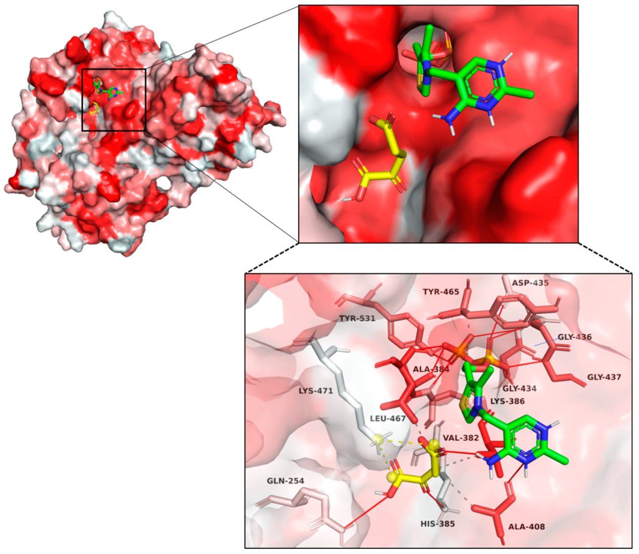aminaseページ Snapshot of a key intermediate in enzymatic thiamin