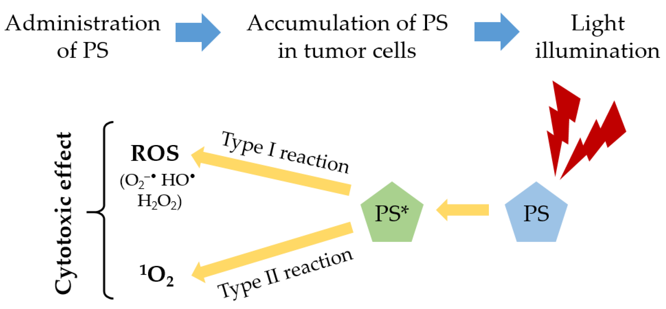 Ijms 24 12204 g001 Ijms 24 12204 g001