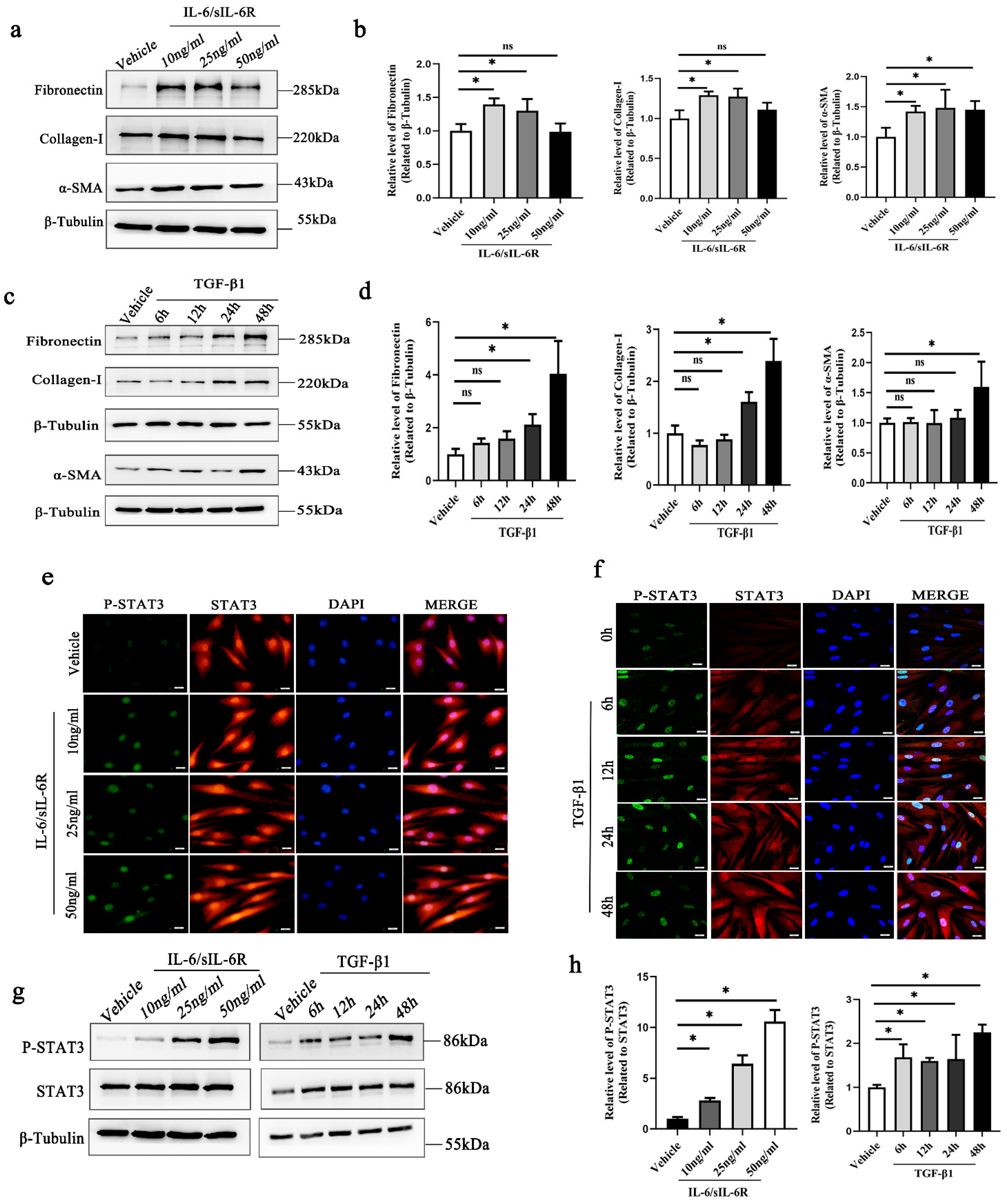 Ijms 24 12210 g001 Ijms 24 12210 g001