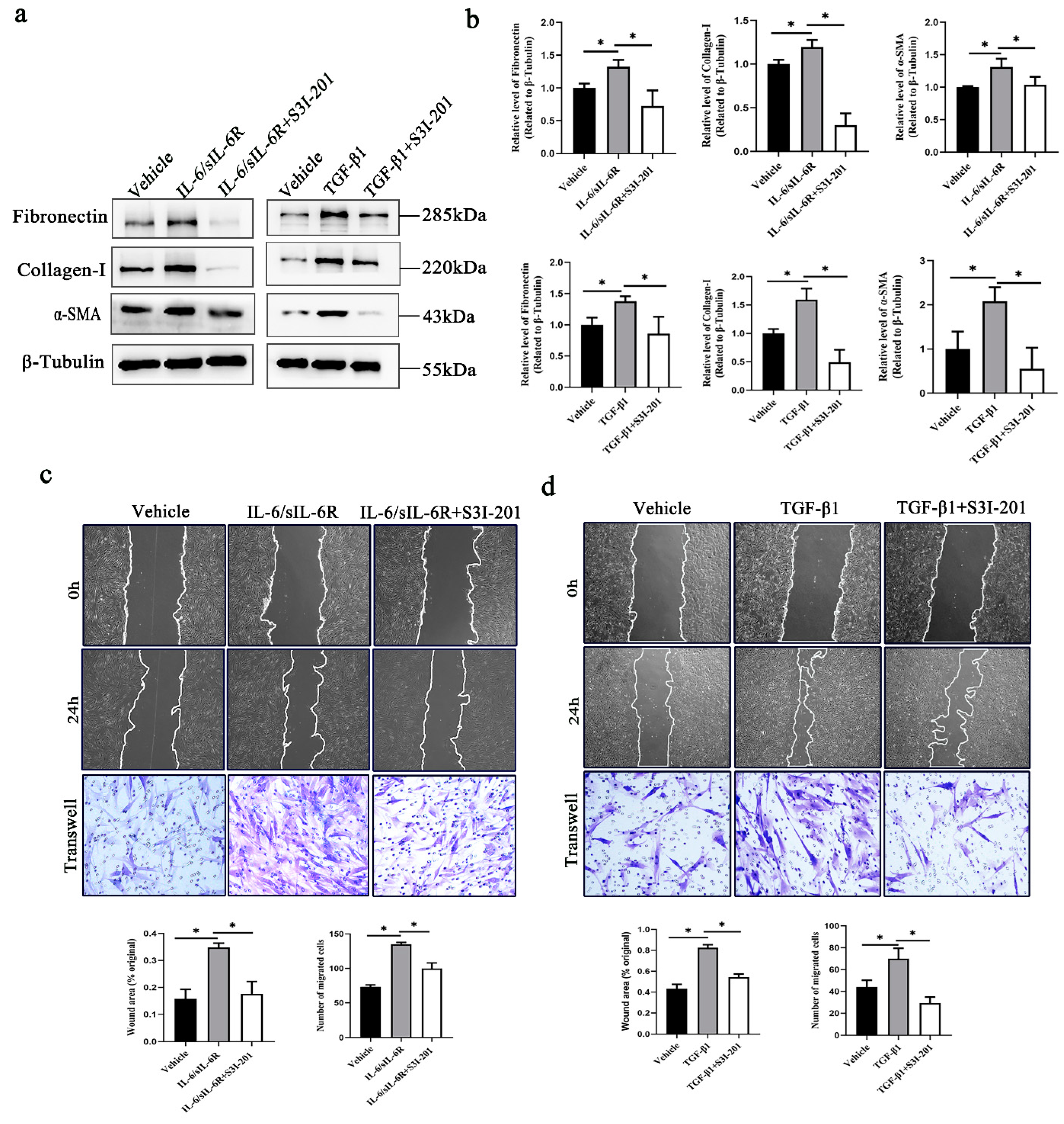 Ijms 24 12210 g002 Ijms 24 12210 g002