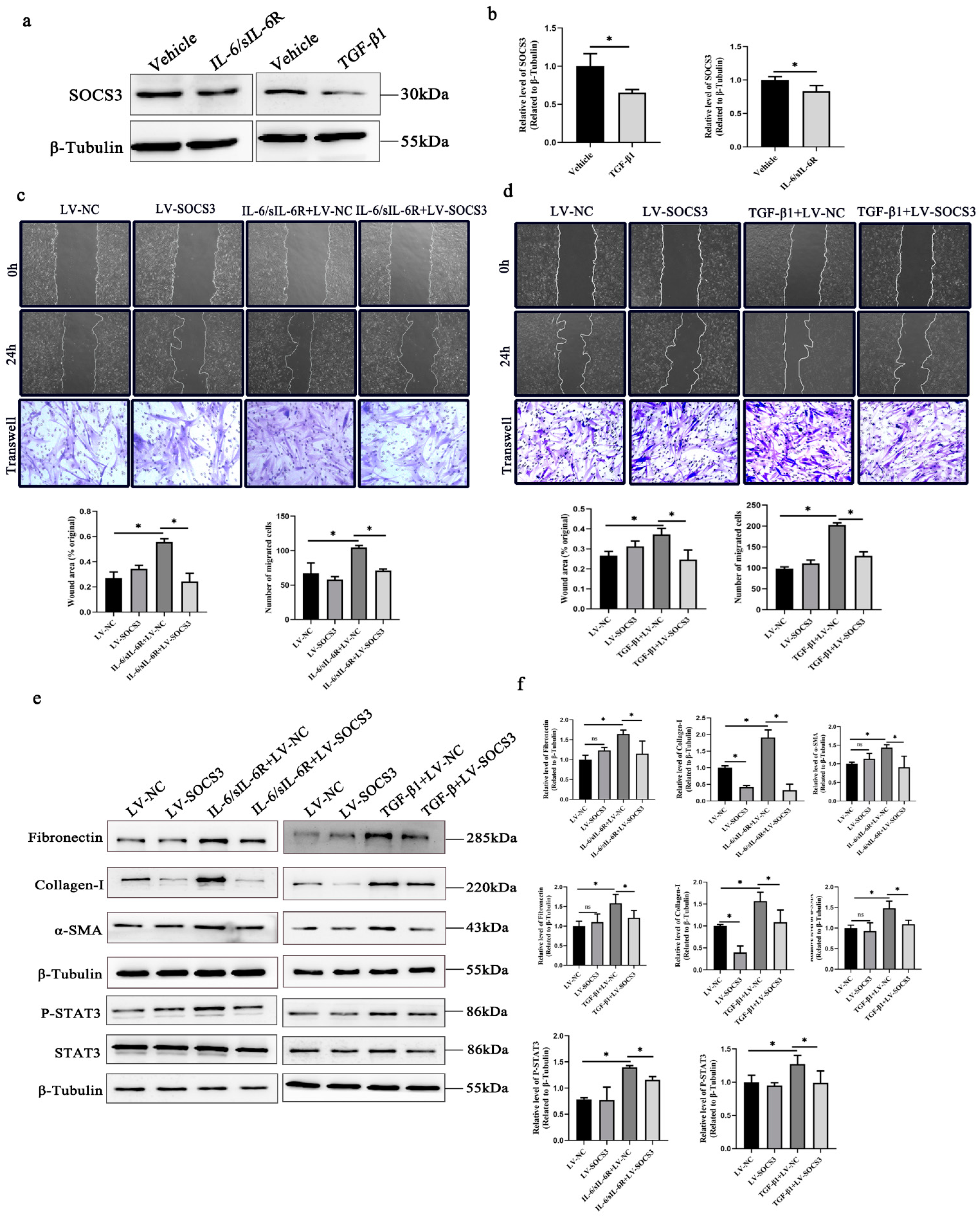 Ijms 24 12210 g003 Ijms 24 12210 g003