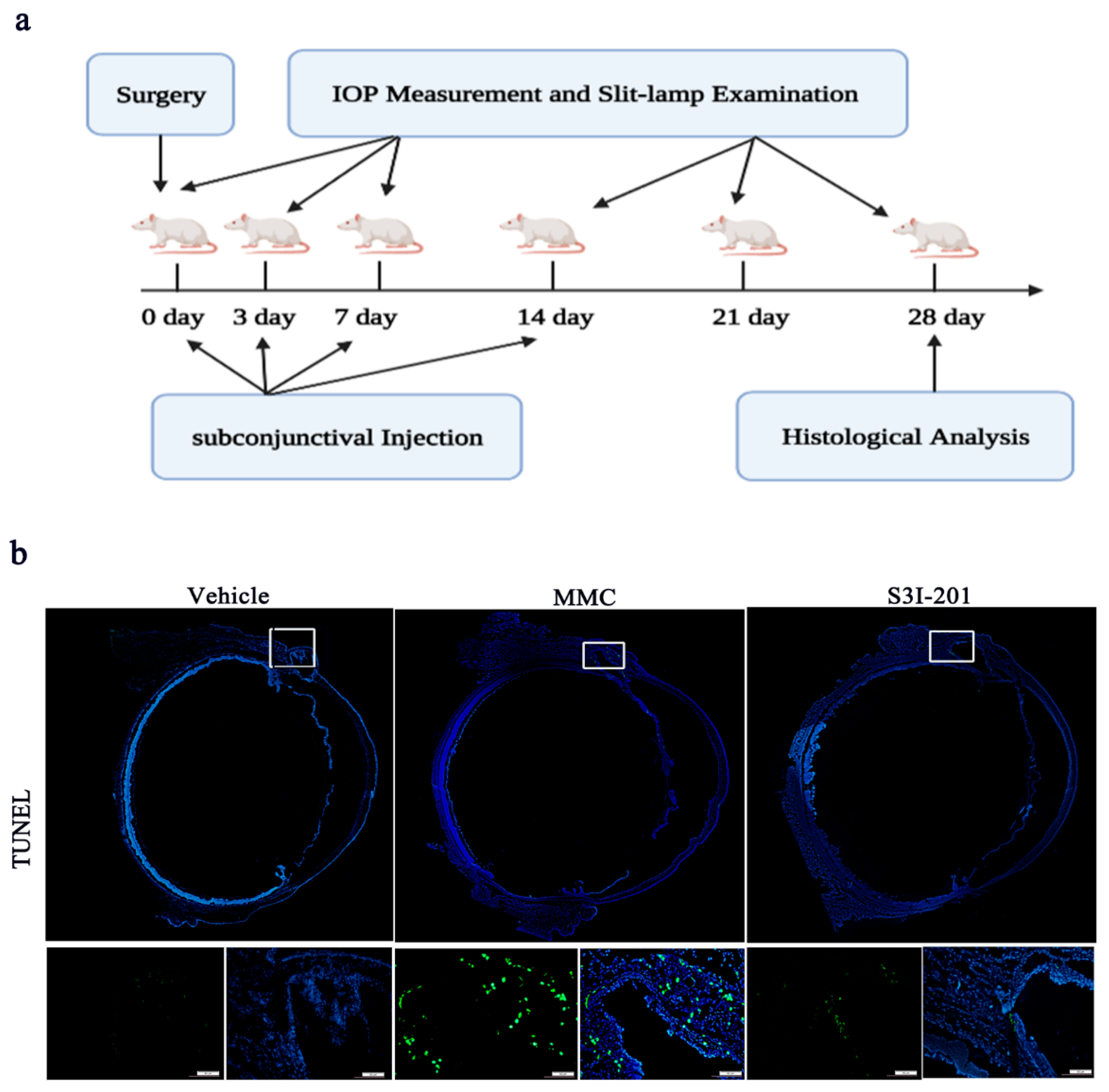 Ijms 24 12210 g004 Ijms 24 12210 g004