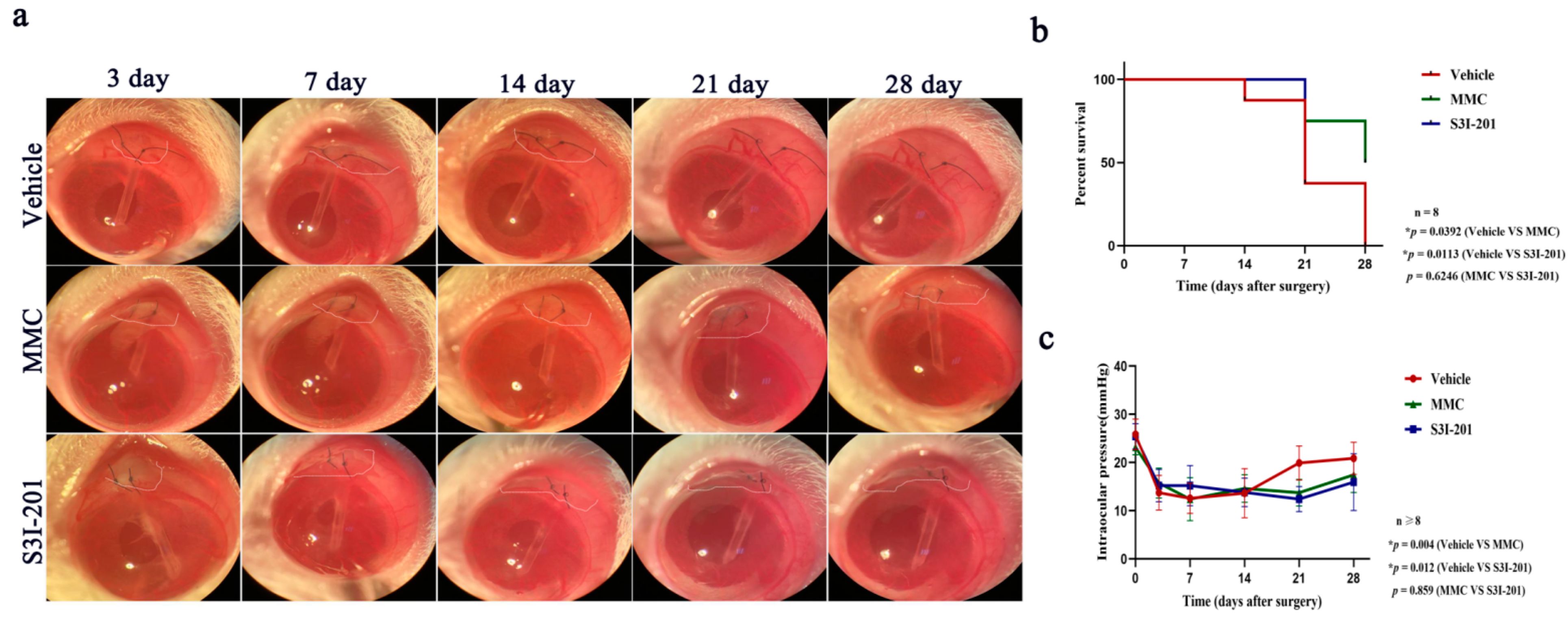 Ijms 24 12210 g005 Ijms 24 12210 g005