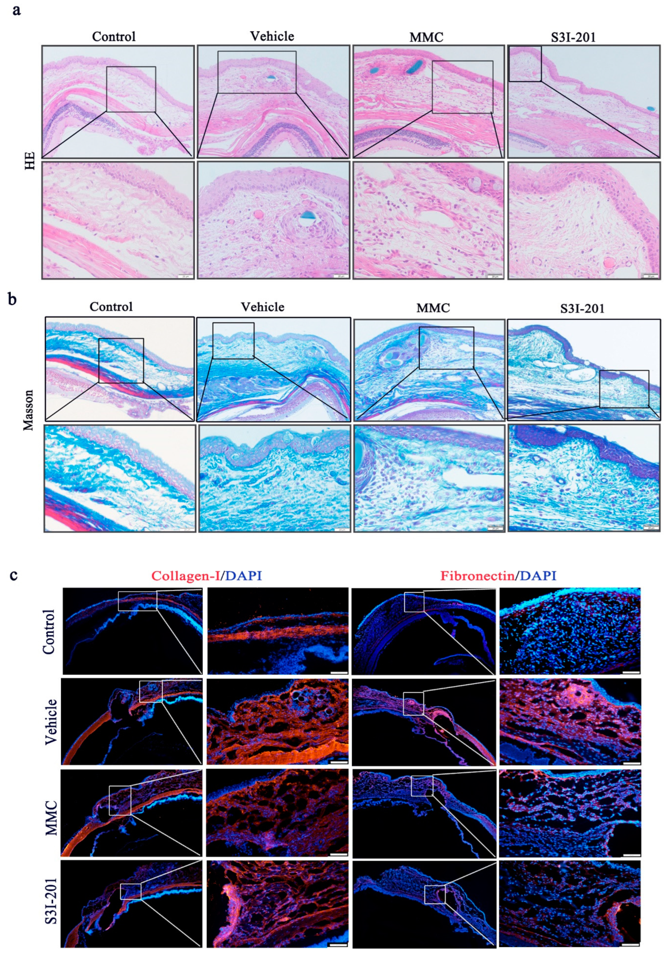 Ijms 24 12210 g006 Ijms 24 12210 g006