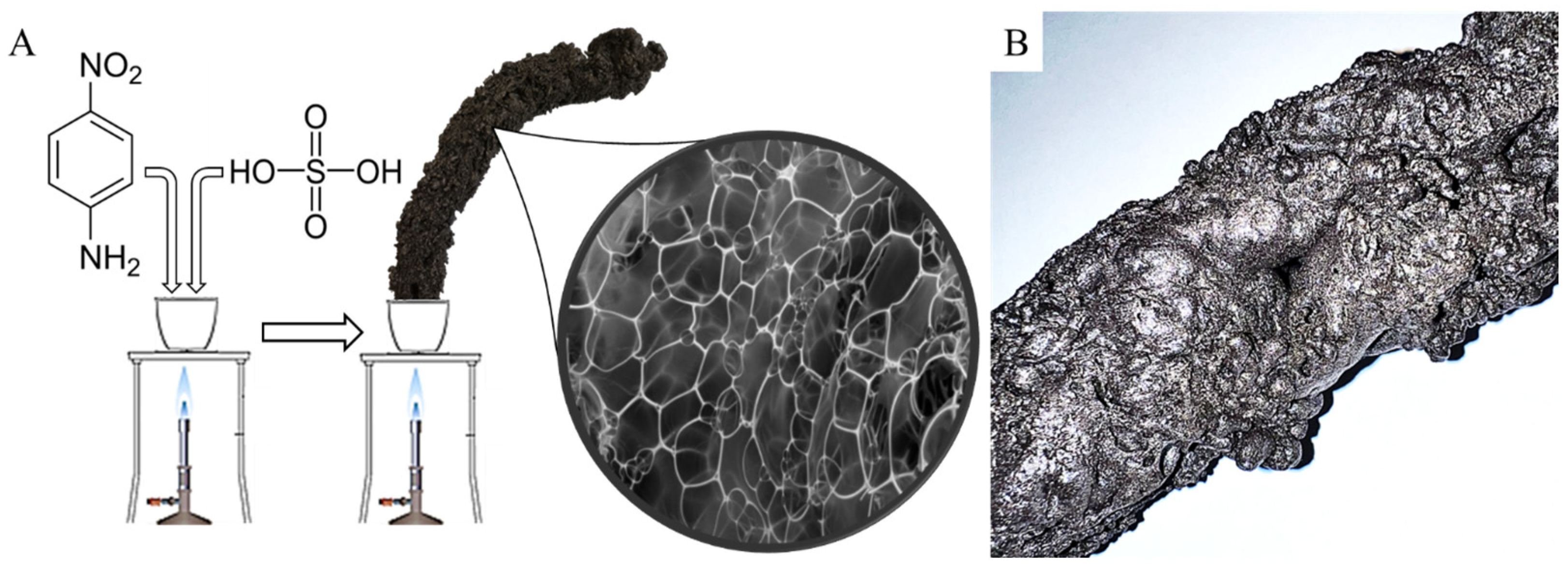 Ijms 24 12211 g006 Ijms 24 12211 g006