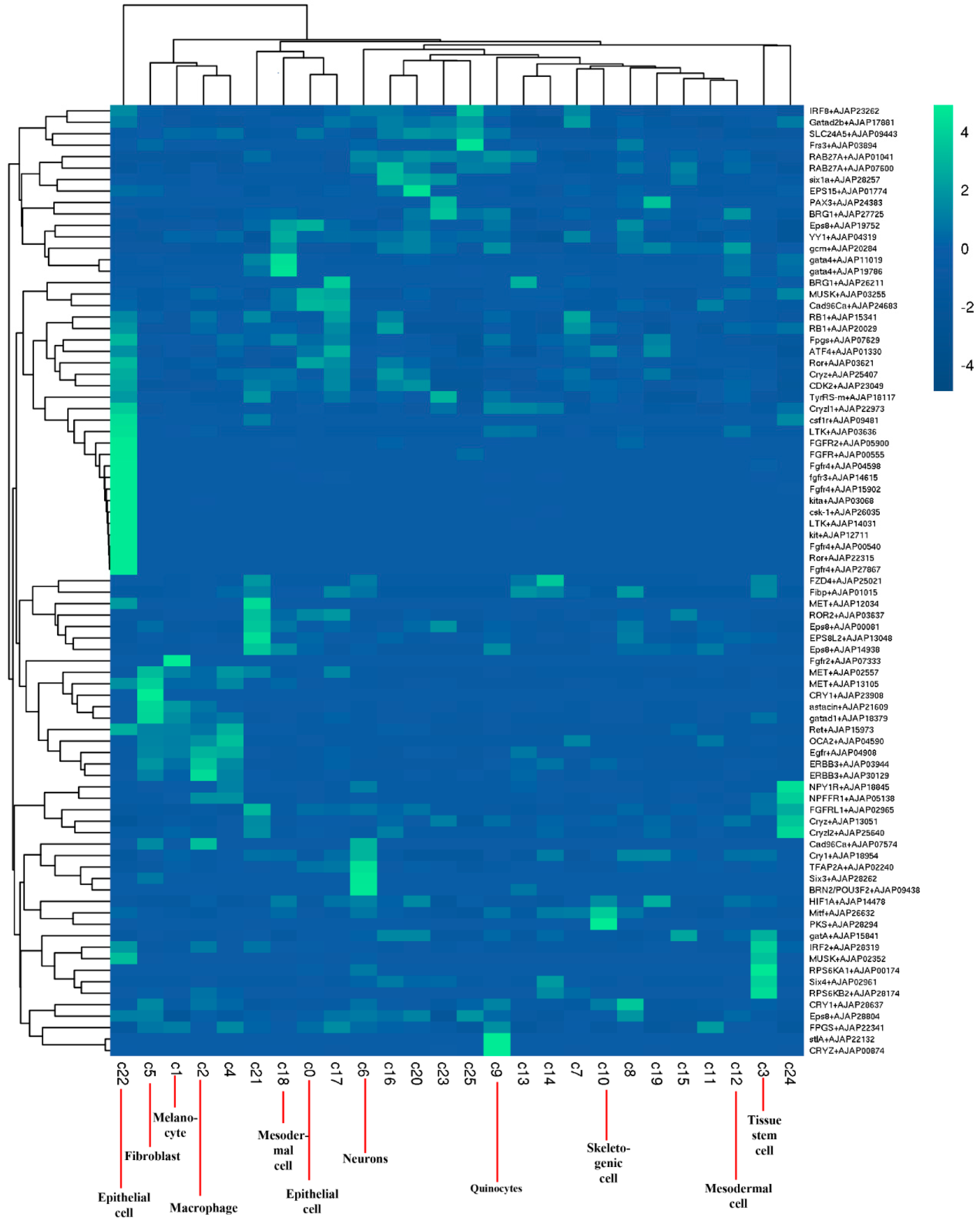 Ijms 24 12213 g002 Ijms 24 12213 g002