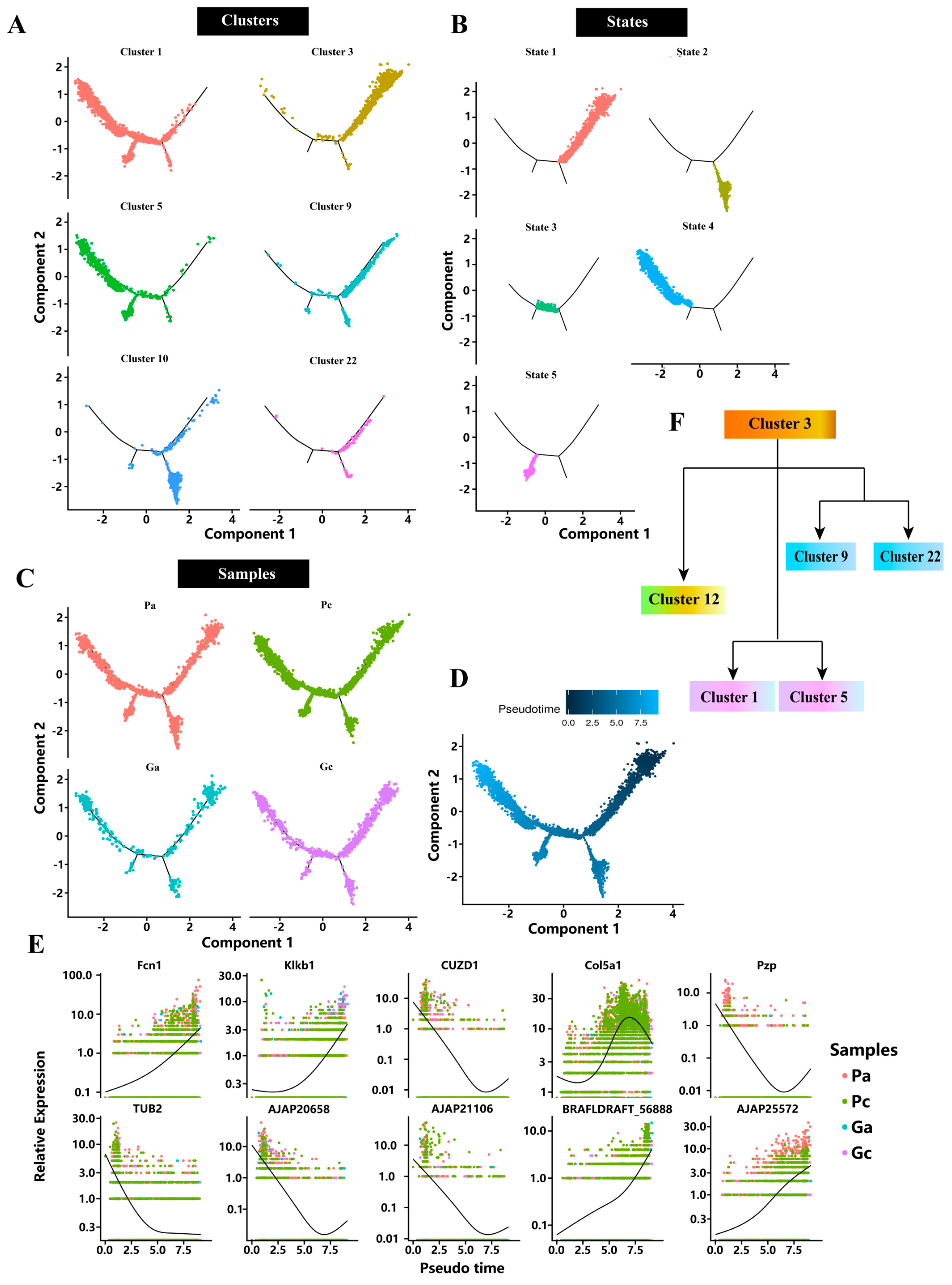 Ijms 24 12213 g003 Ijms 24 12213 g003