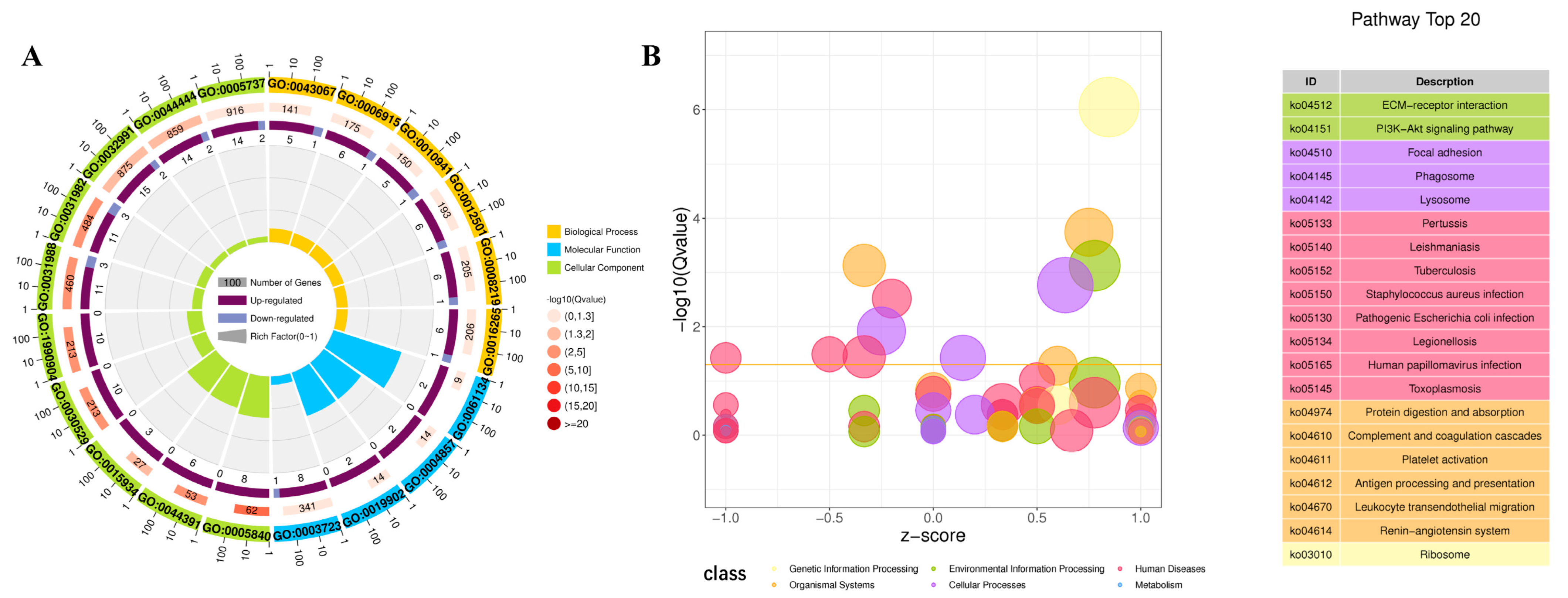 Ijms 24 12213 g004 Ijms 24 12213 g004