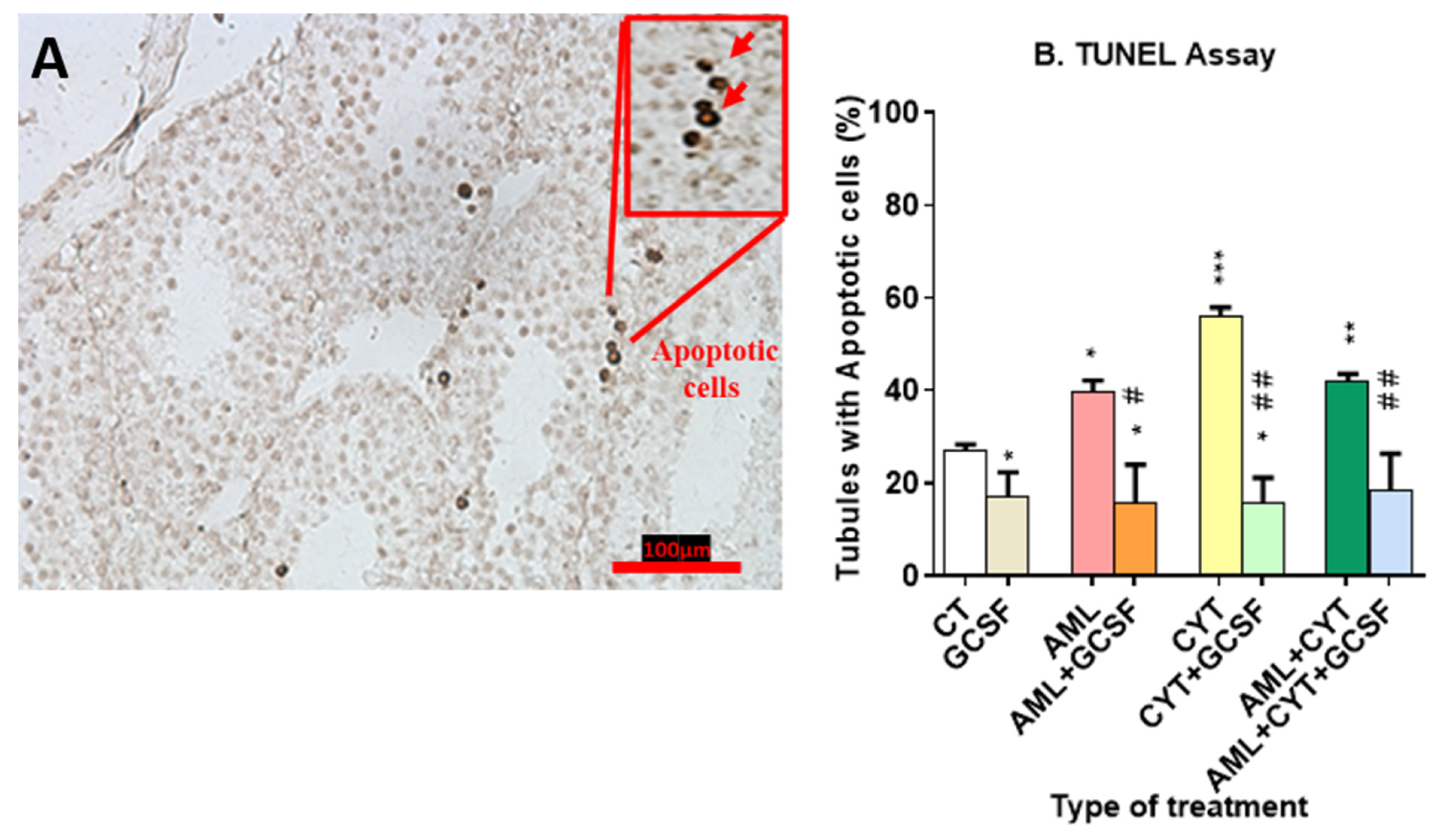Ijms 24 12229 g004 Ijms 24 12229 g004