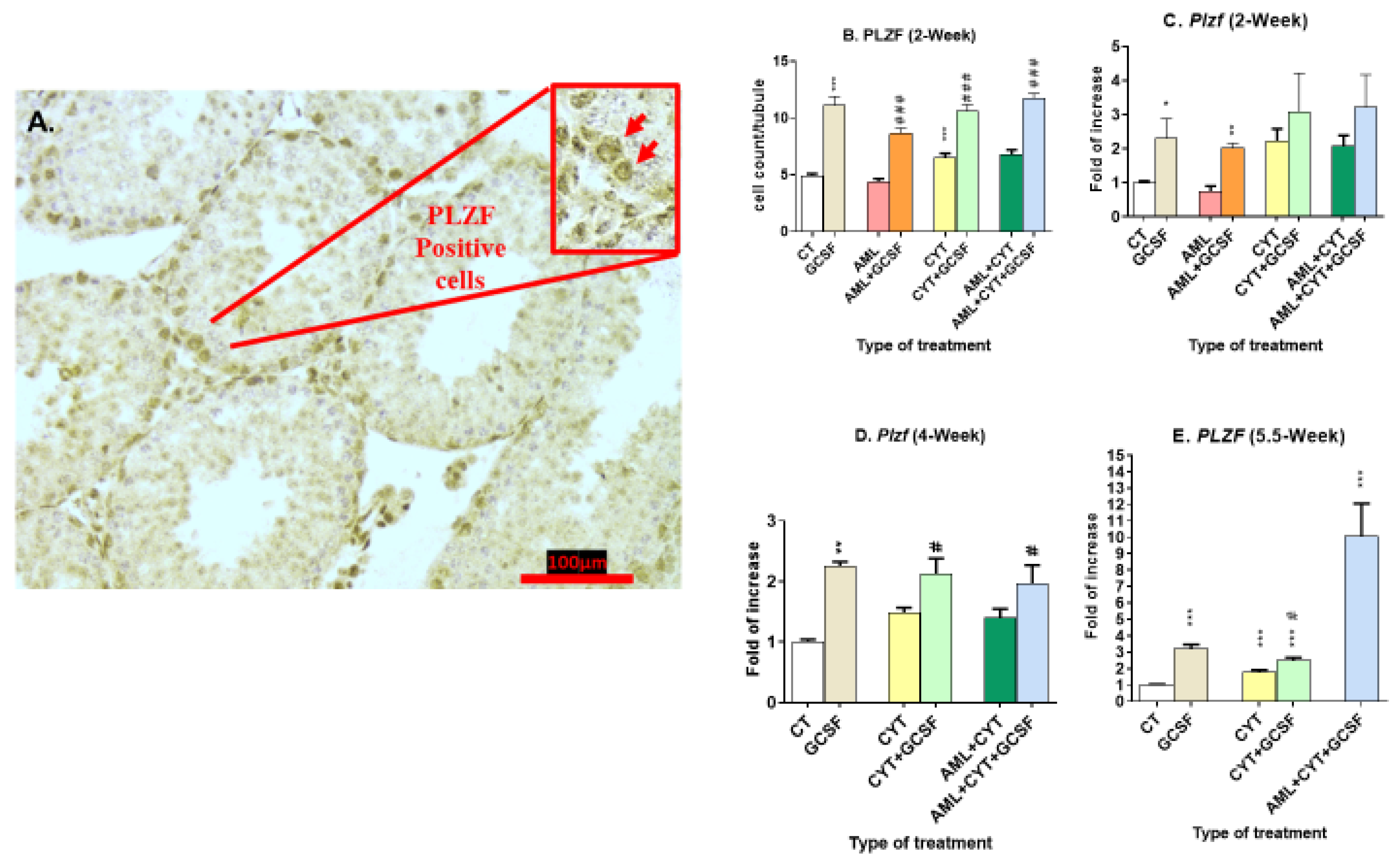 Ijms 24 12229 g005 Ijms 24 12229 g005