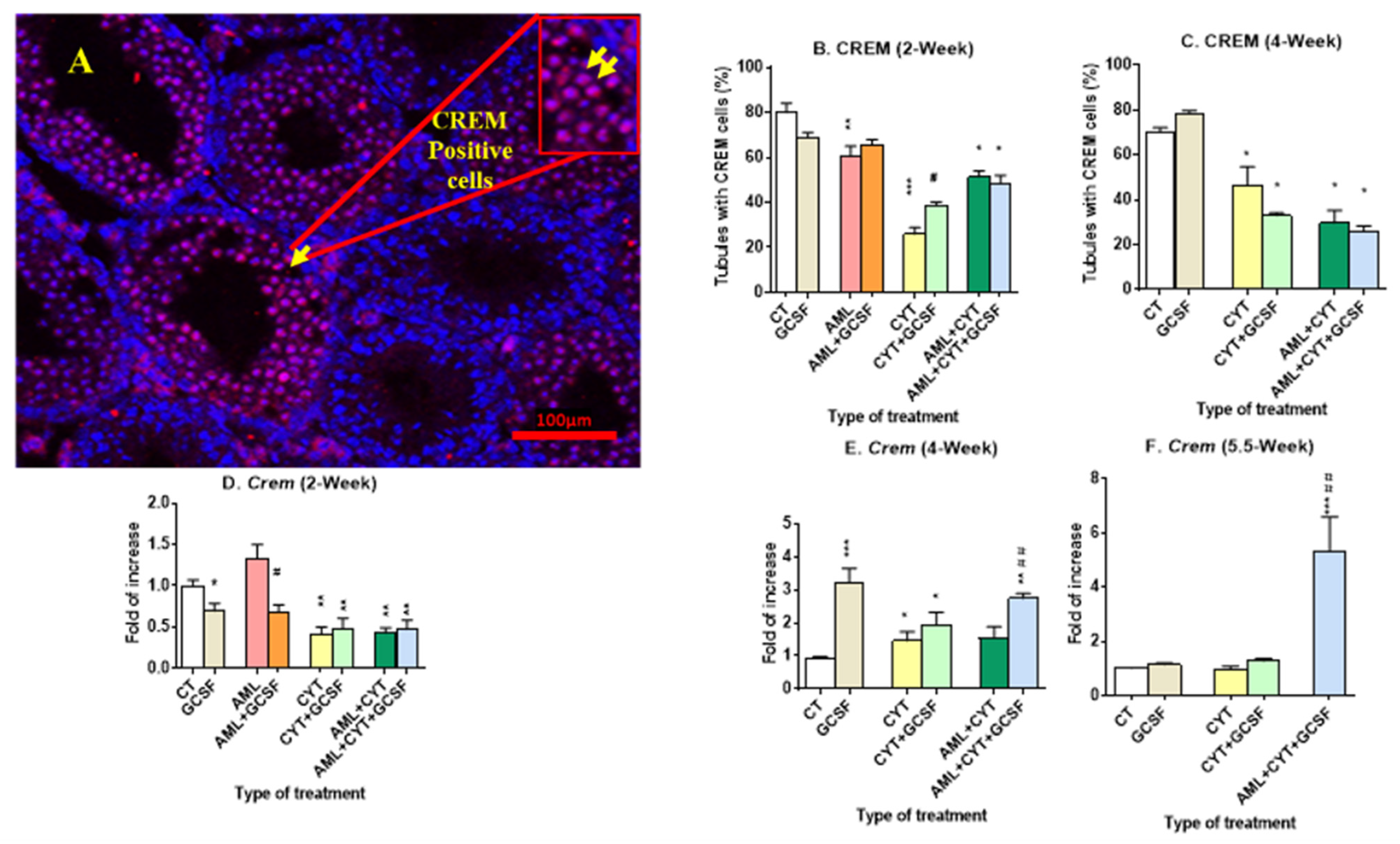Ijms 24 12229 g006 Ijms 24 12229 g006