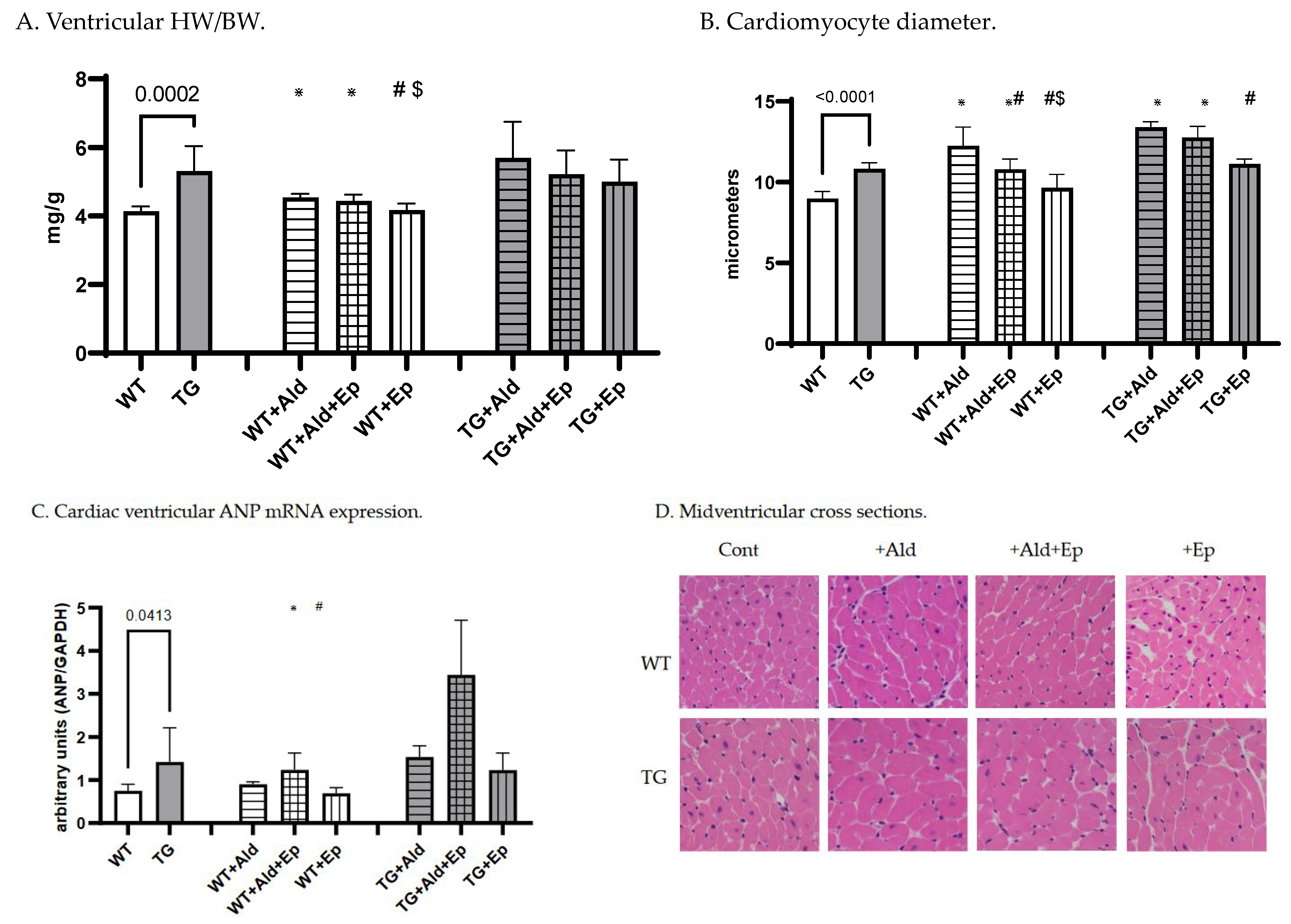 Ijms 24 12237 g001 Ijms 24 12237 g001