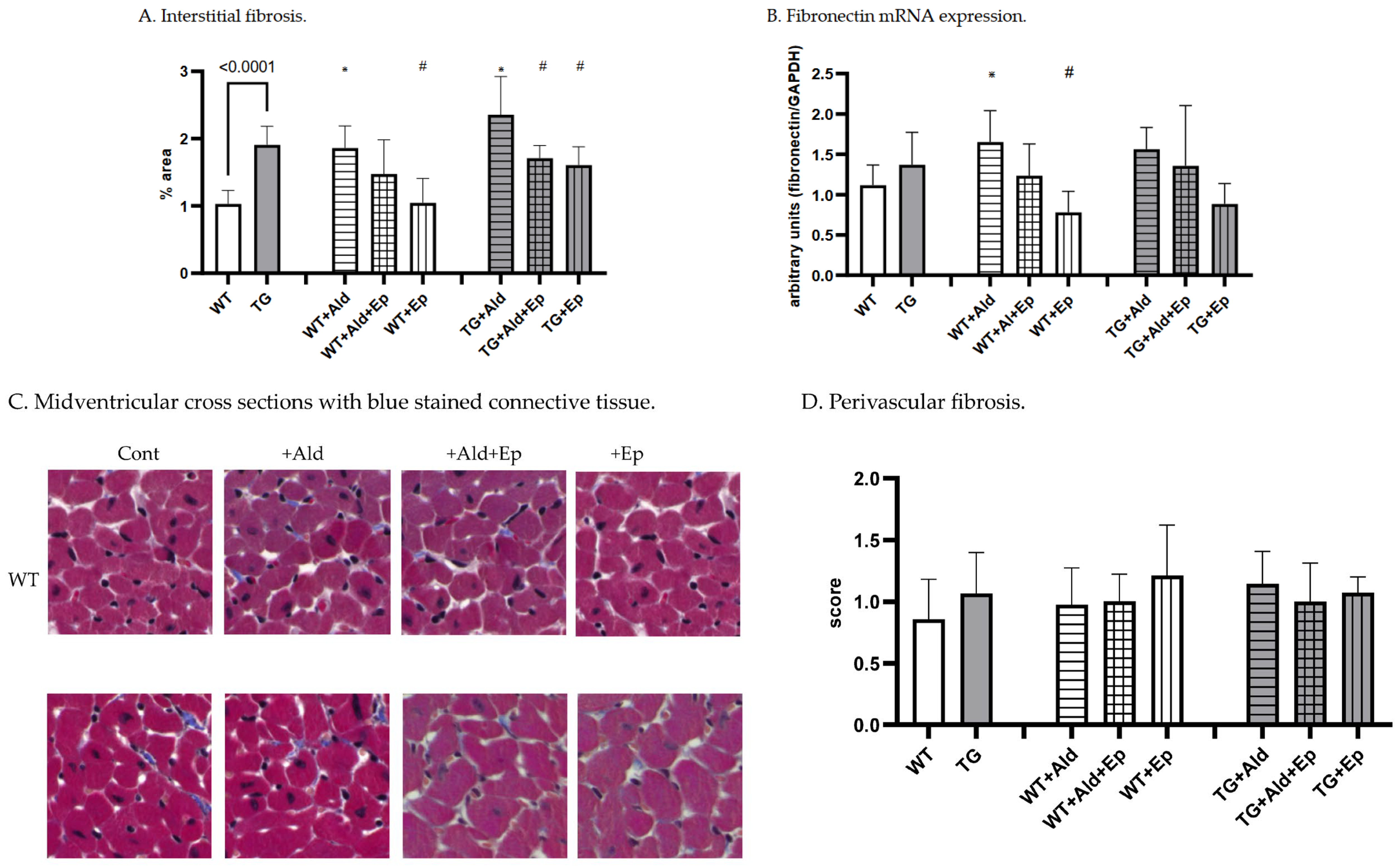 Ijms 24 12237 g002 Ijms 24 12237 g002