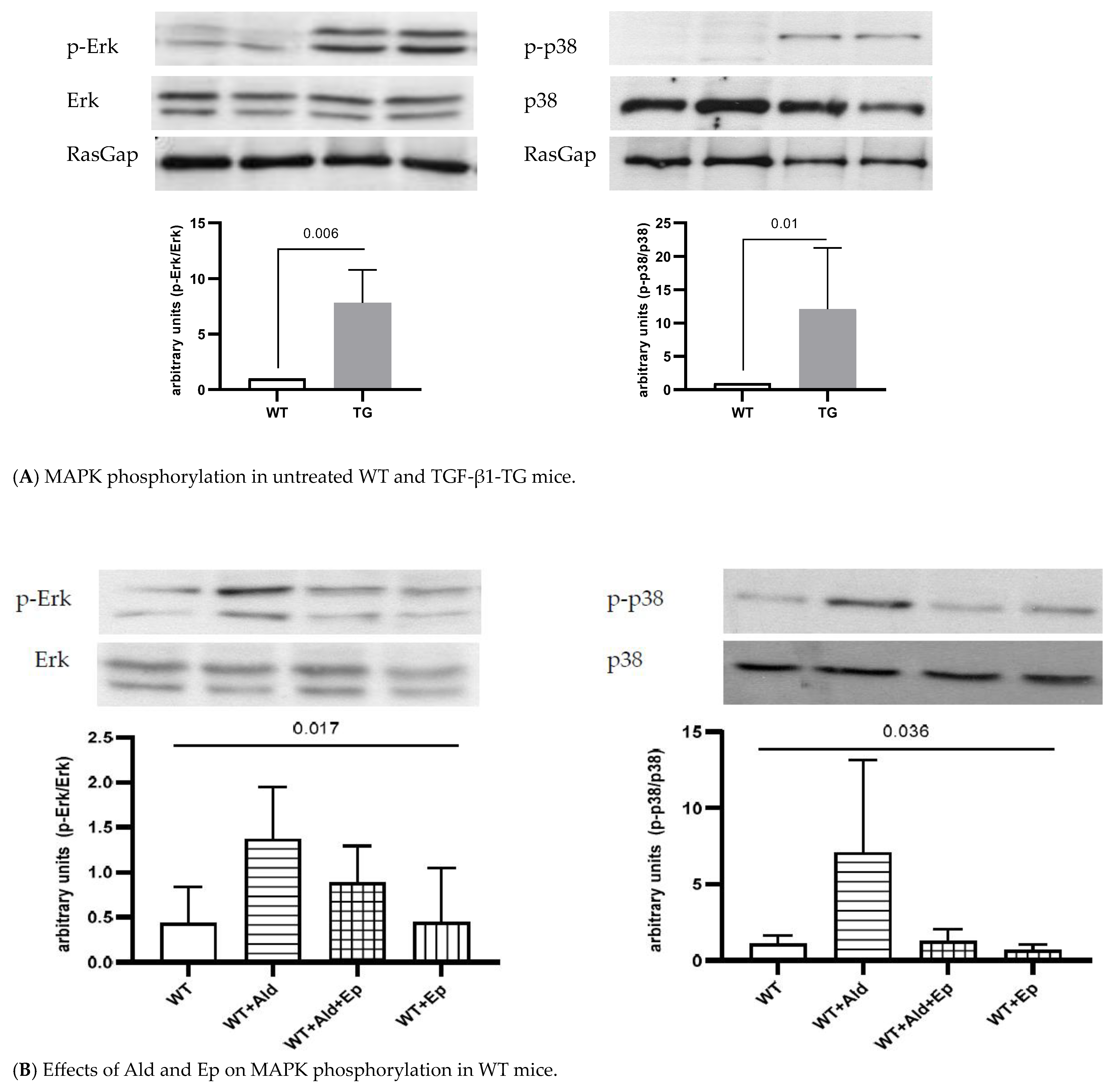 Ijms 24 12237 g003a Ijms 24 12237 g003a