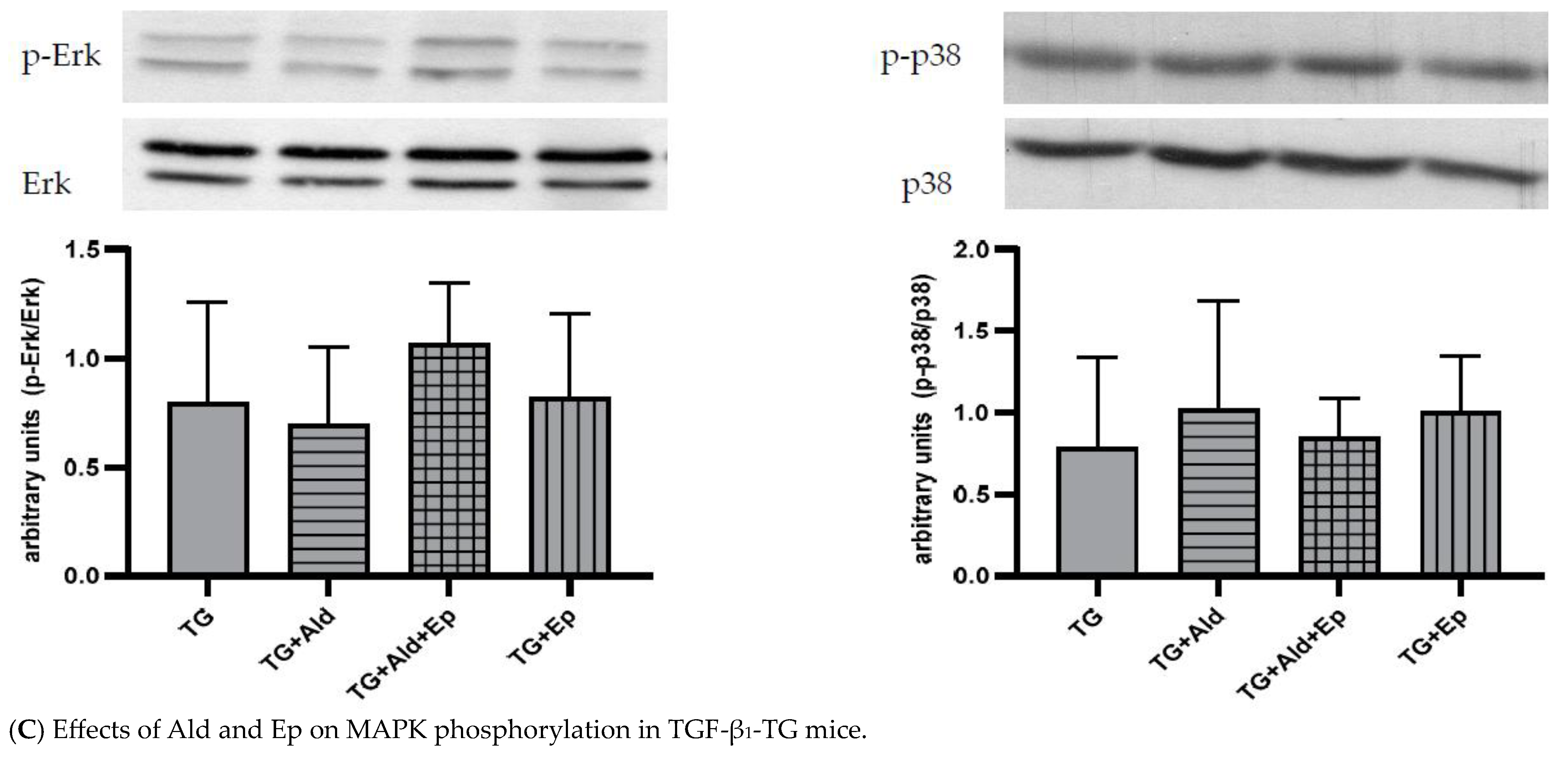 Ijms 24 12237 g003b Ijms 24 12237 g003b