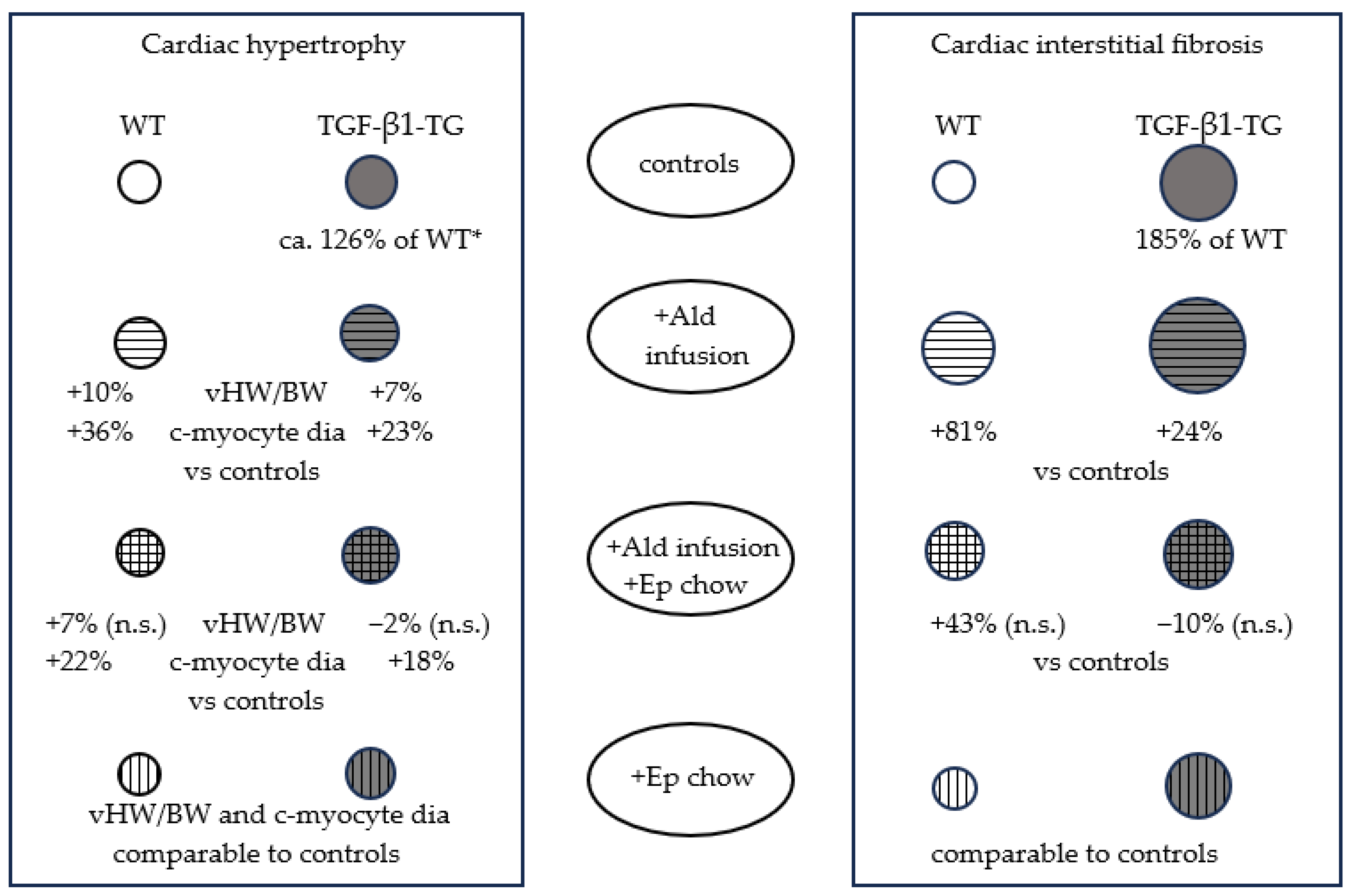Ijms 24 12237 g005 Ijms 24 12237 g005