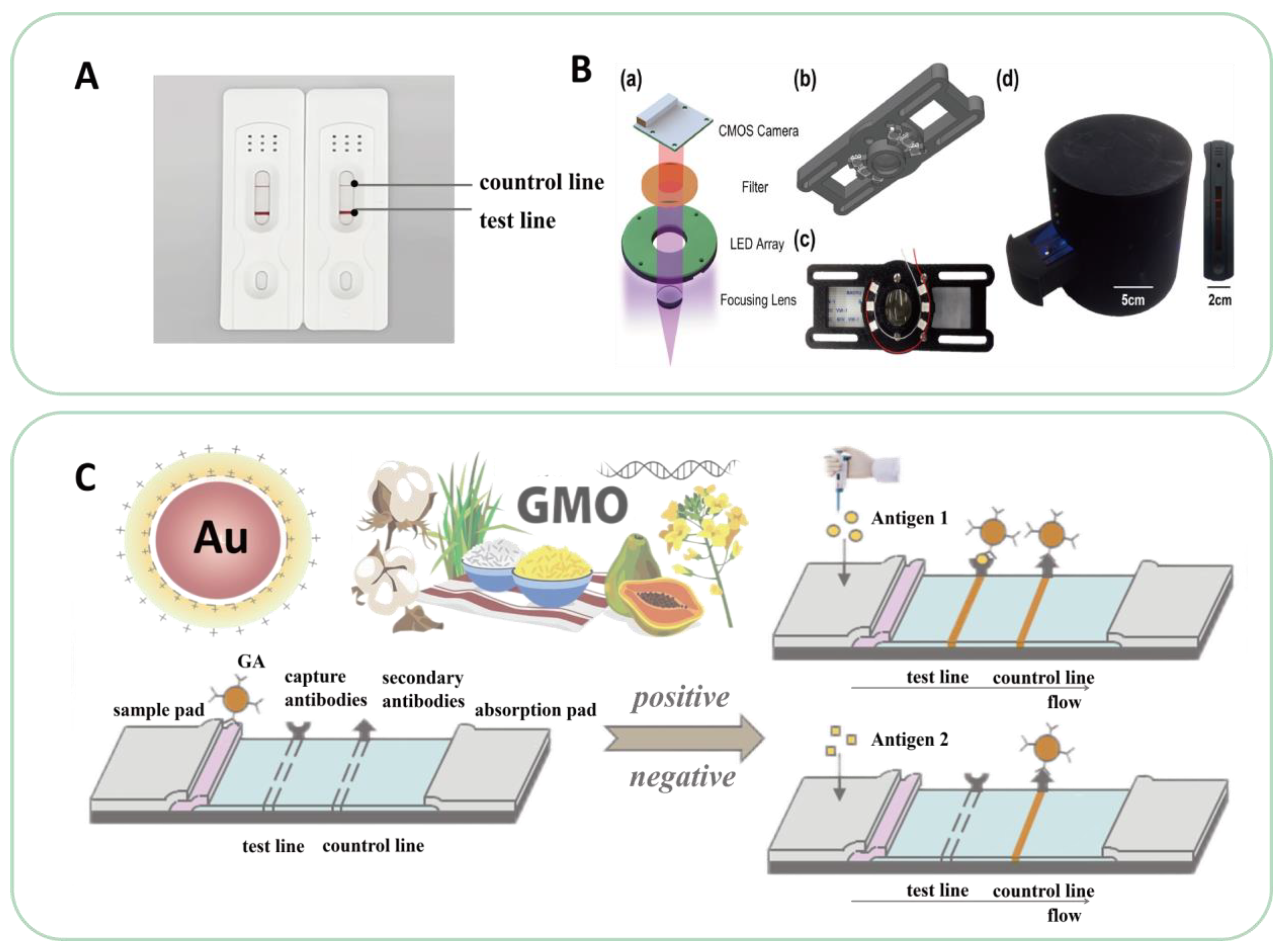 Ijms 24 12247 g004 Ijms 24 12247 g004