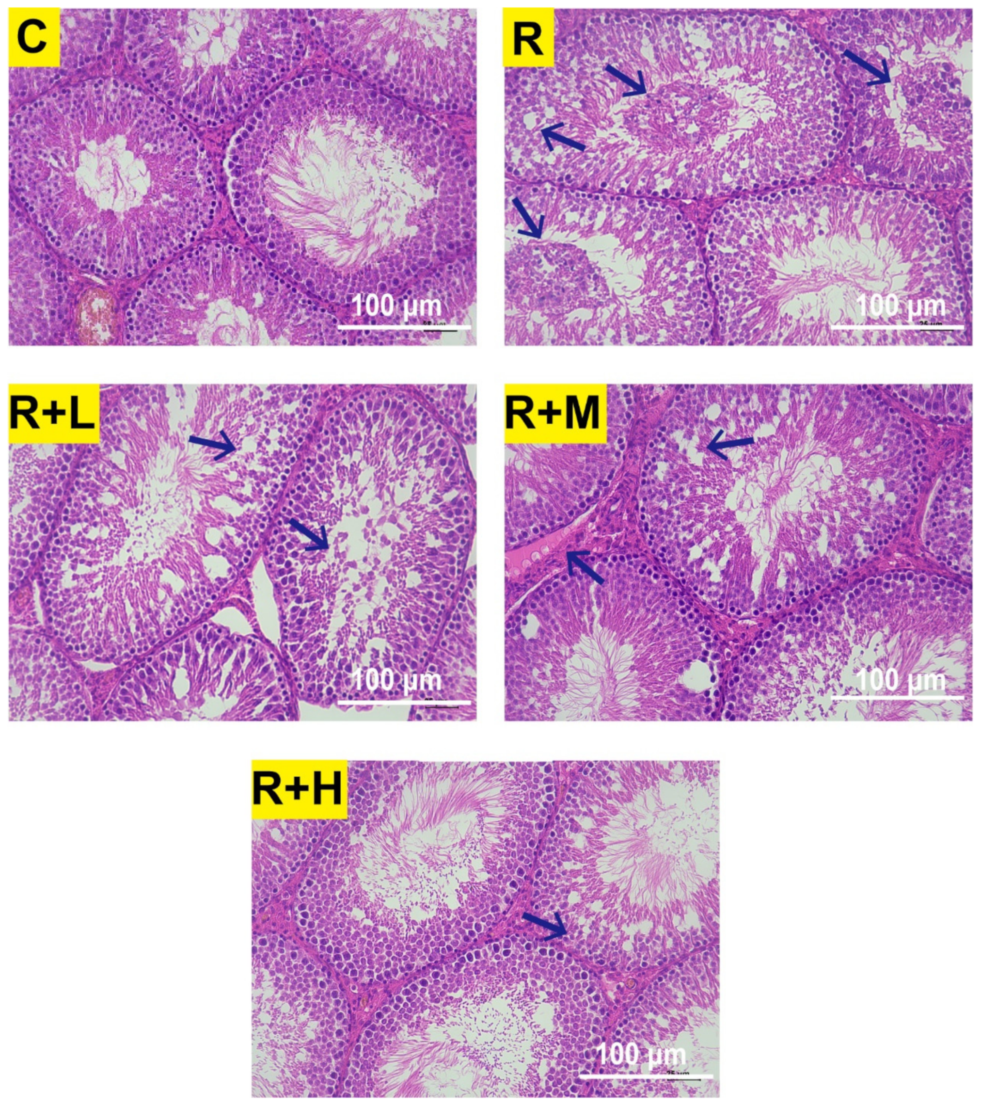 Ijms 24 12250 g002 Ijms 24 12250 g002