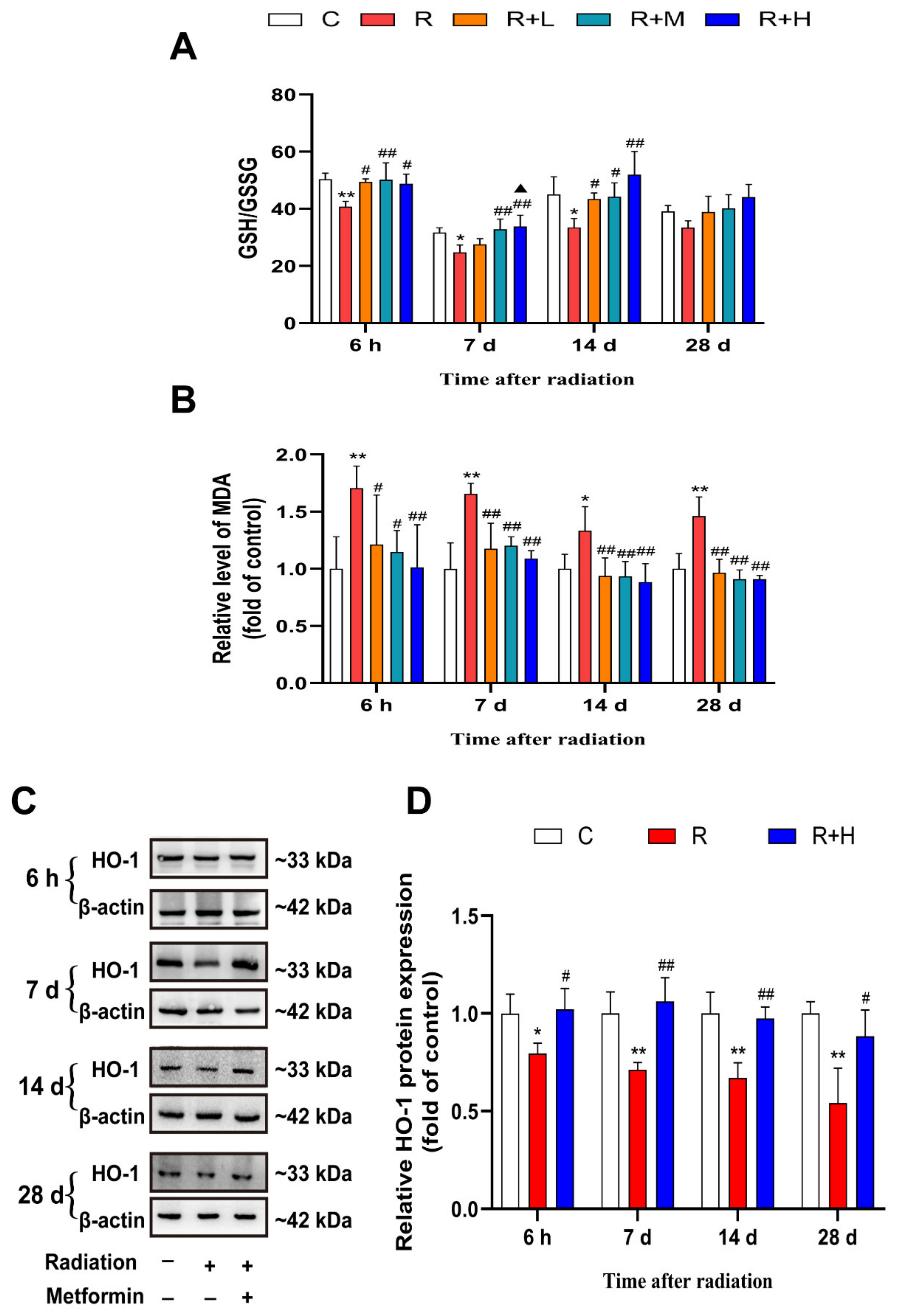 Ijms 24 12250 g006 Ijms 24 12250 g006