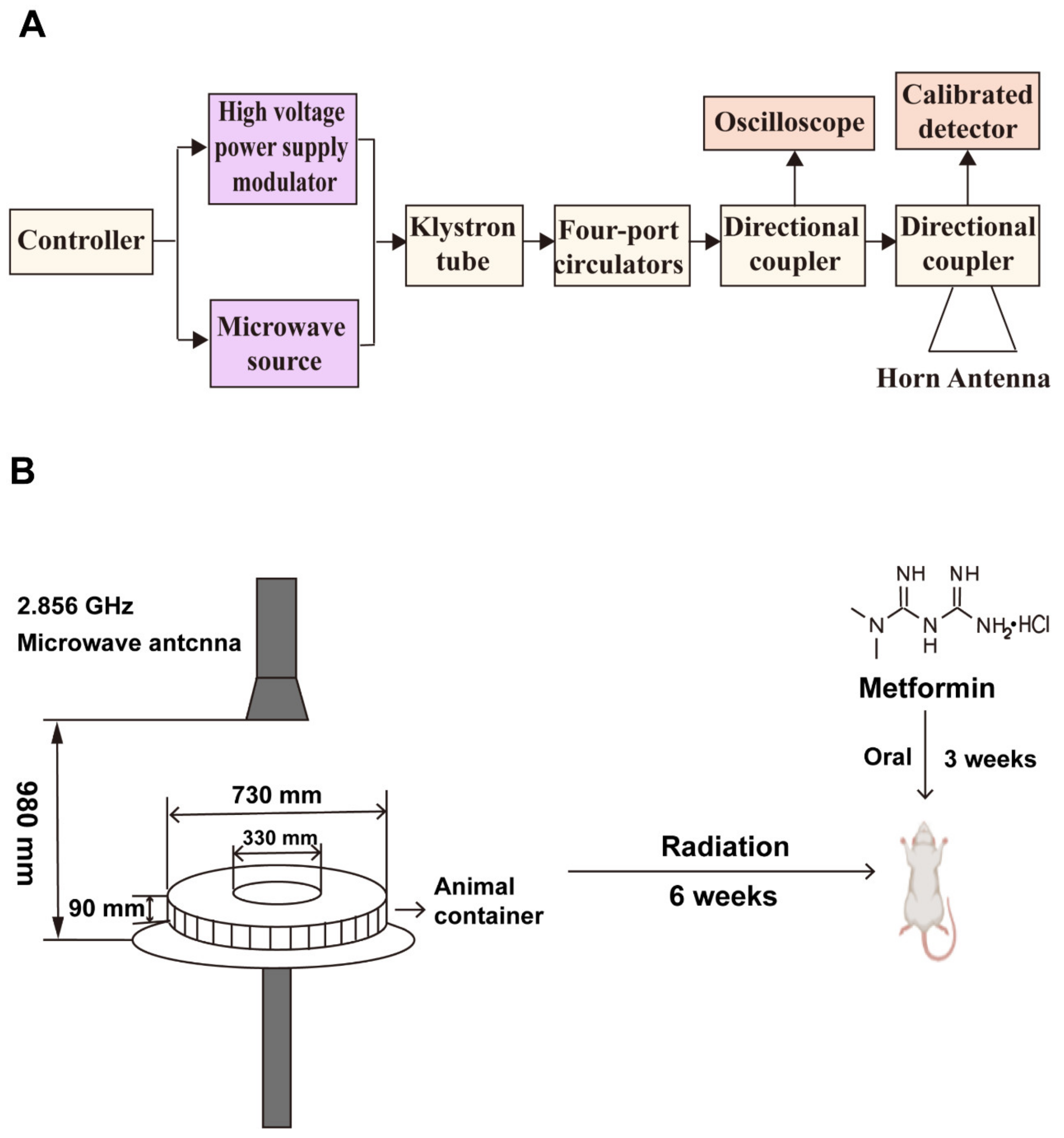 Ijms 24 12250 g009 Ijms 24 12250 g009