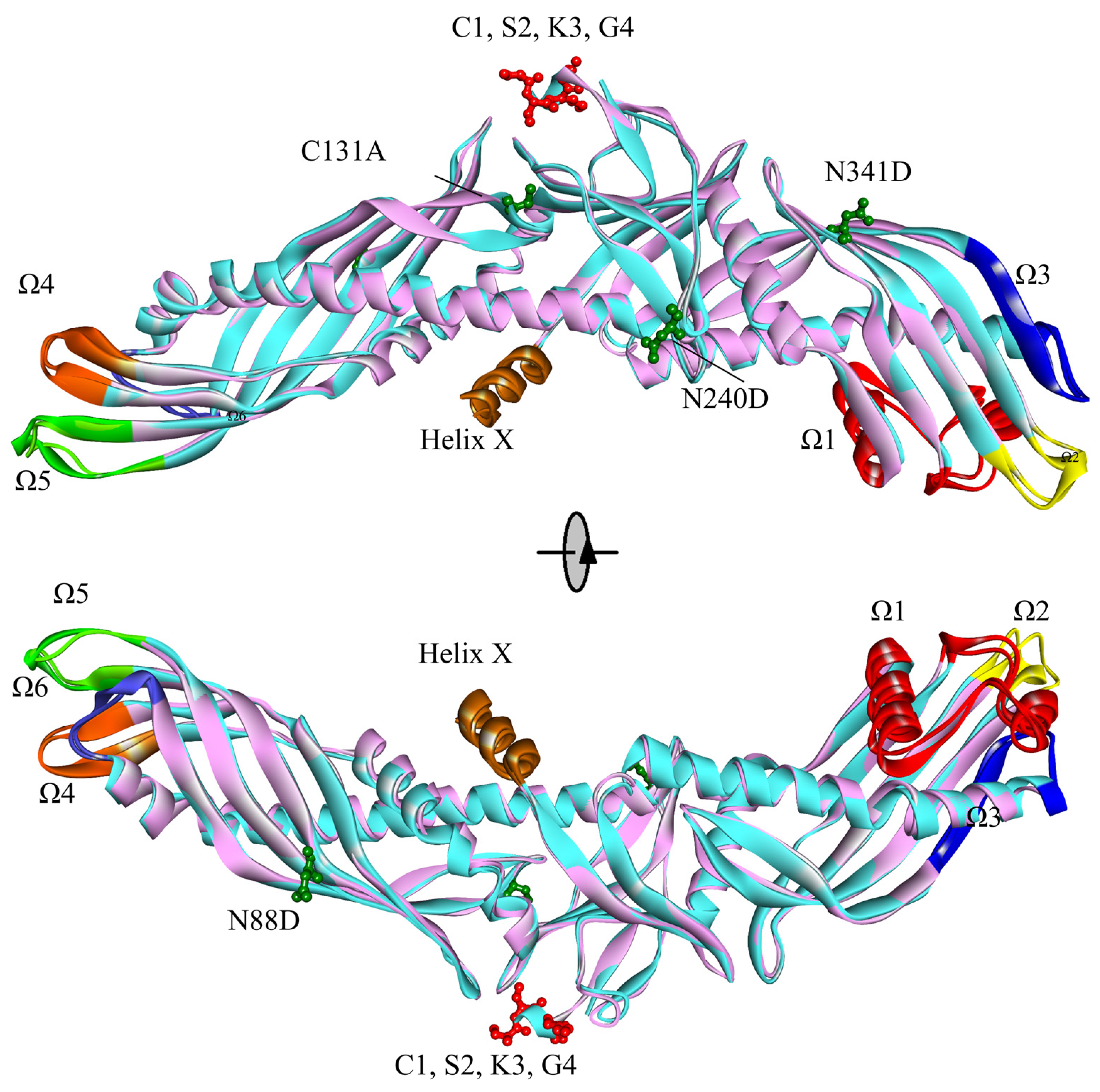 Ijms 24 12252 g001 Ijms 24 12252 g001