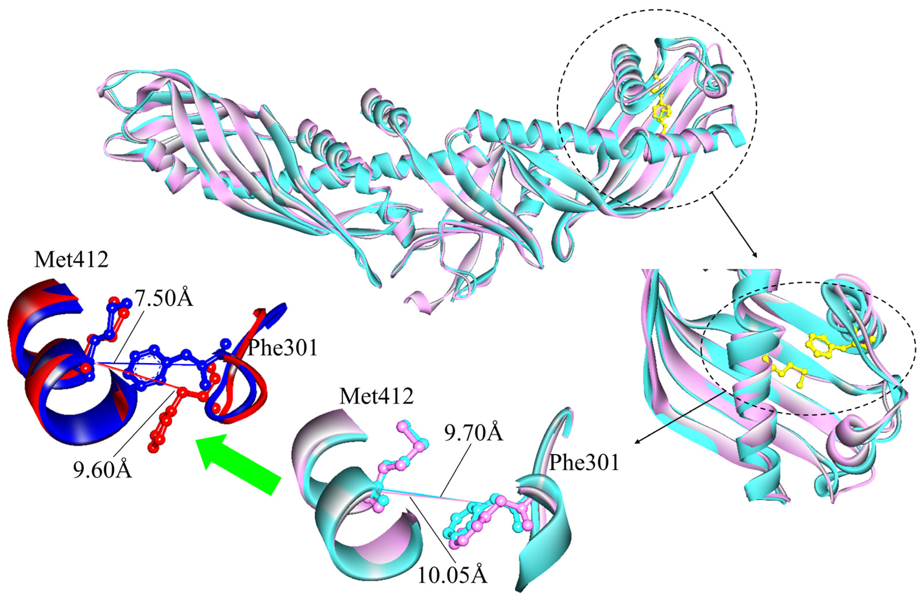 Ijms 24 12252 g003 Ijms 24 12252 g003