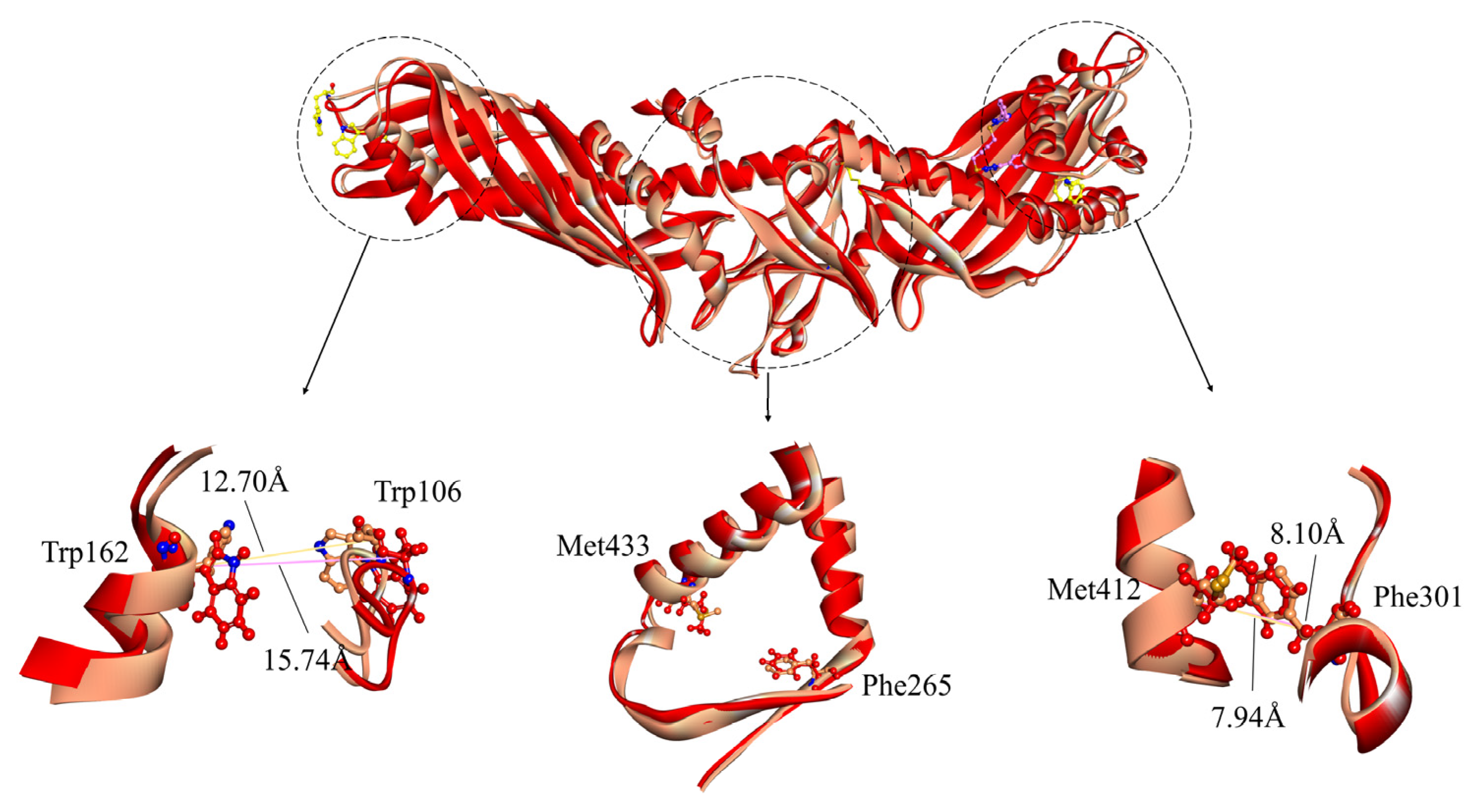Ijms 24 12252 g006 Ijms 24 12252 g006